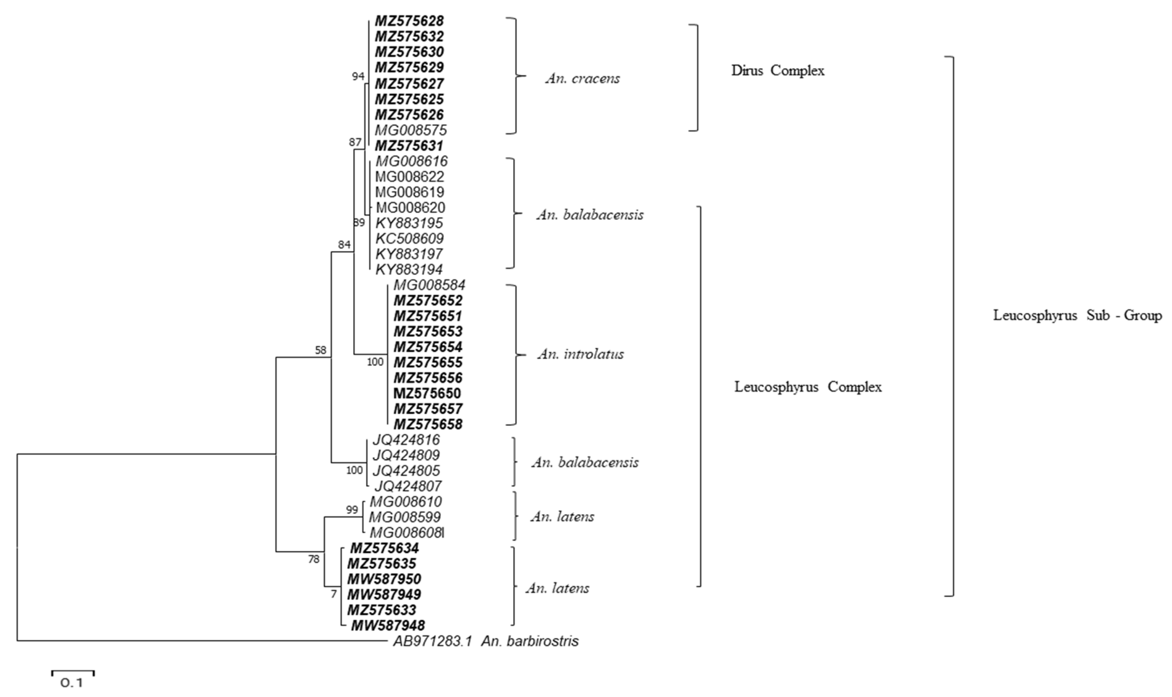 Insects 13 00195 g002 550