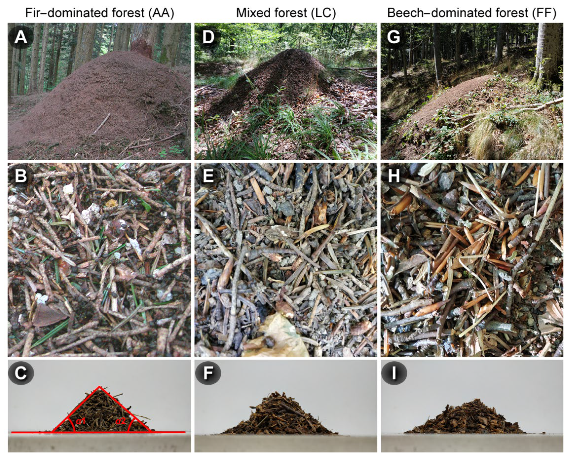 Insects 13 00198 g002