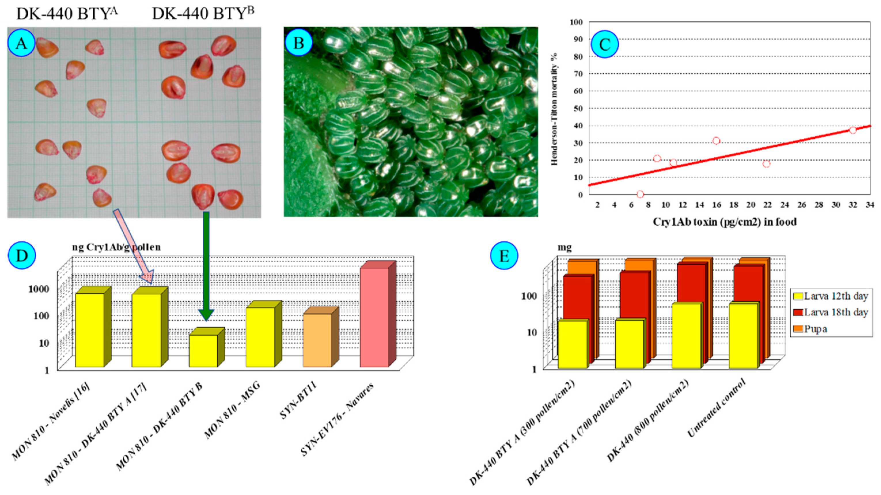 Insects 13 00206 g004
