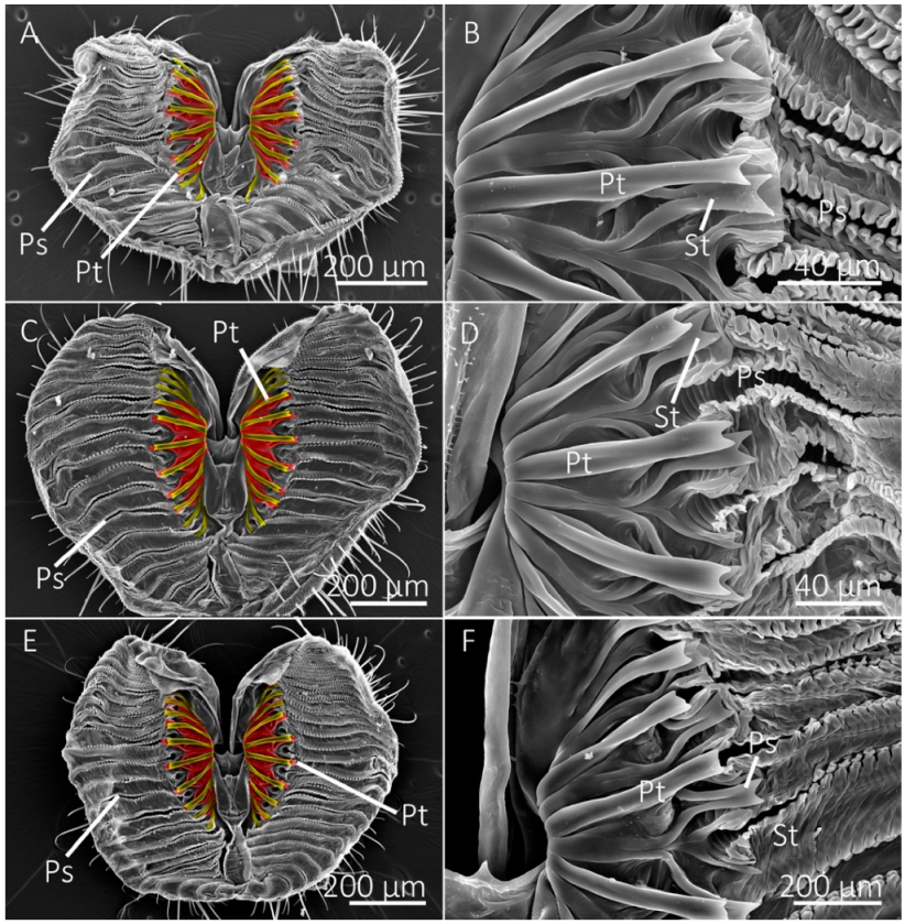 Insects 13 00207 g002