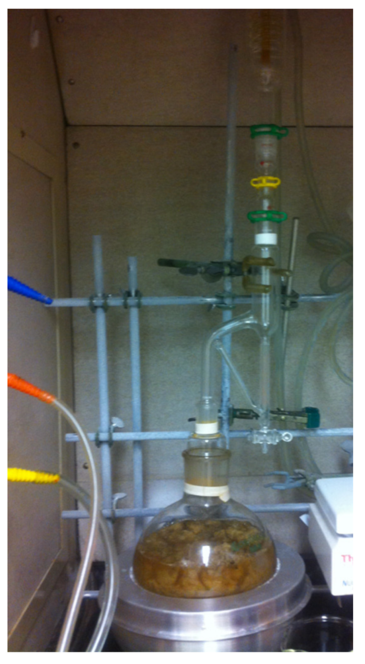 Insects 13 00208 g001 Insects 13 00208 g001