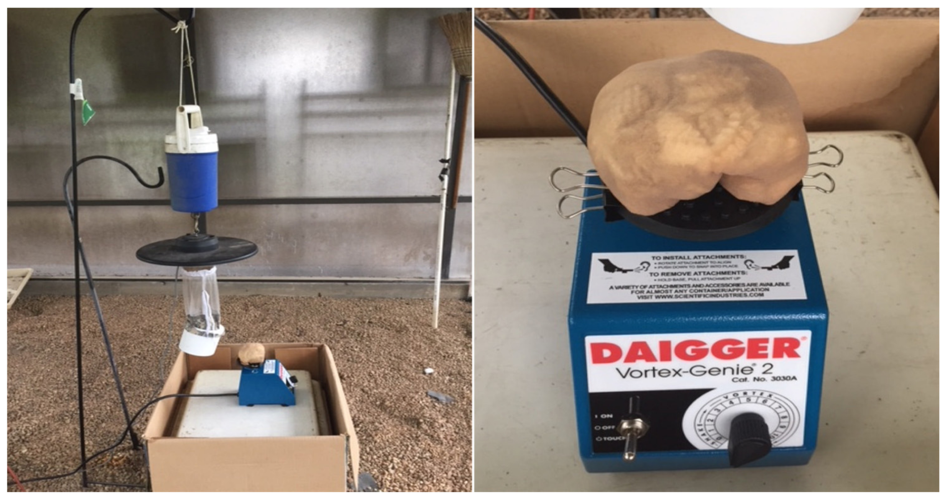 Insects 13 00208 g005 Insects 13 00208 g005