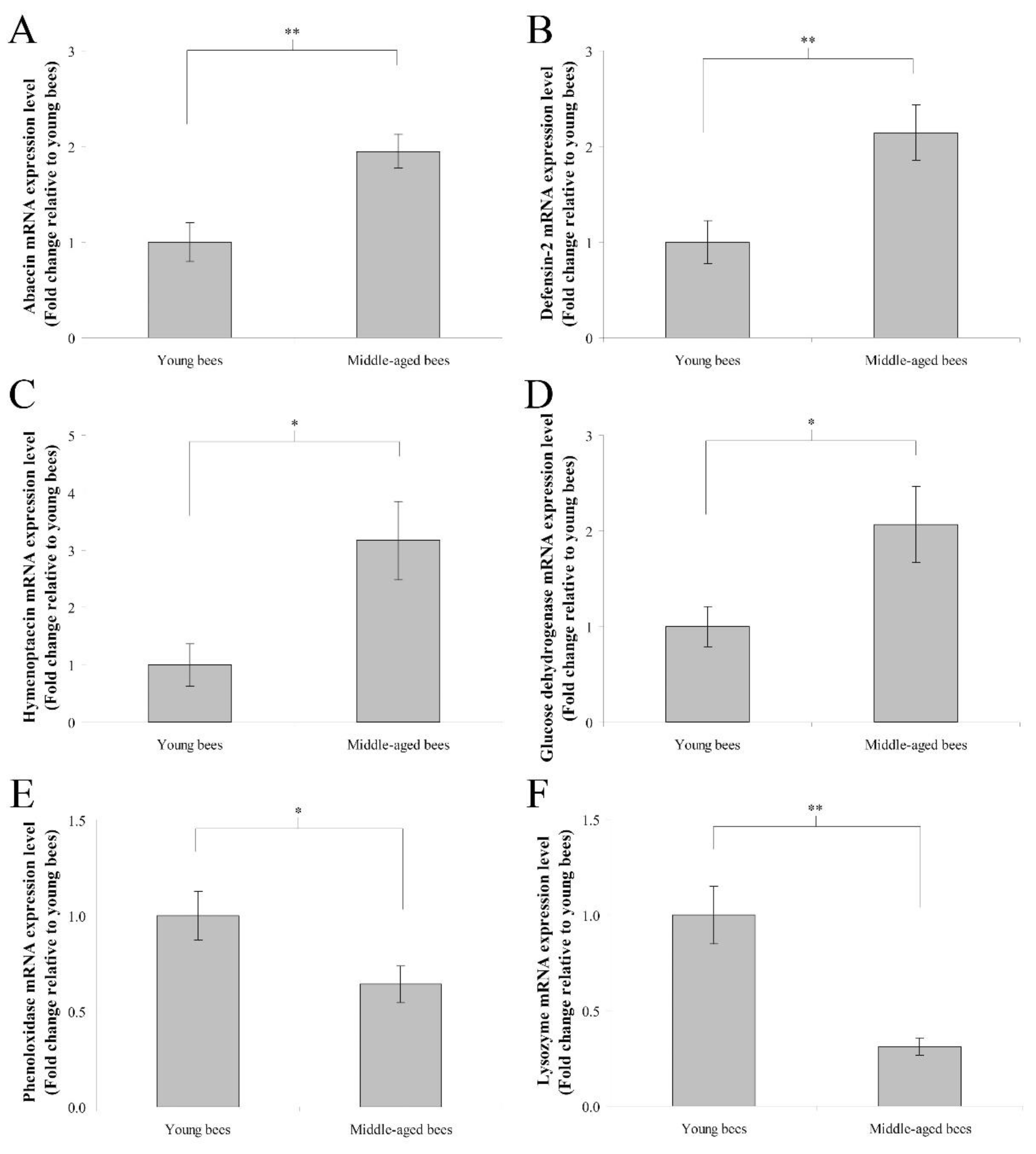 Insects 13 00209 g002