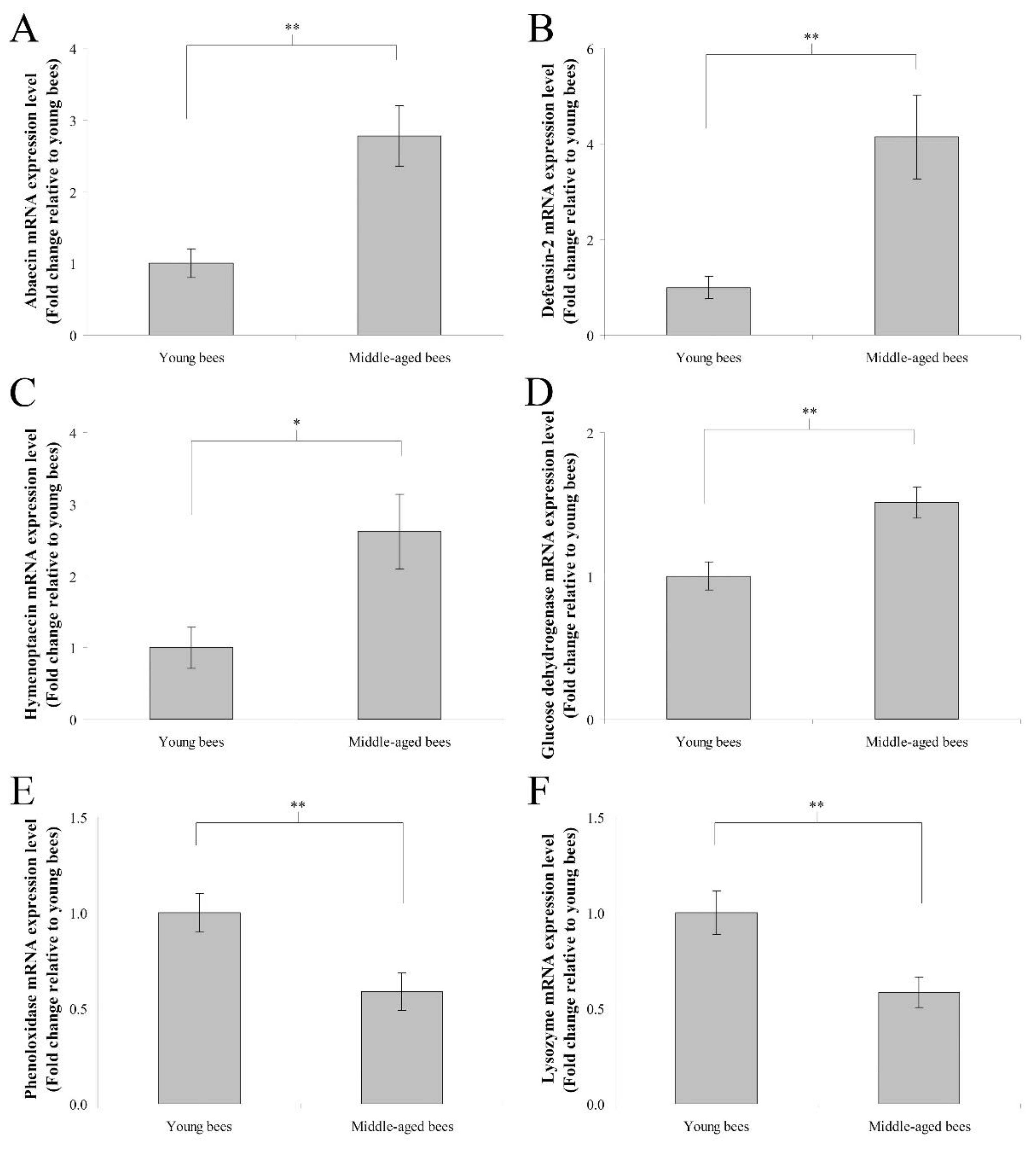 Insects 13 00209 g003