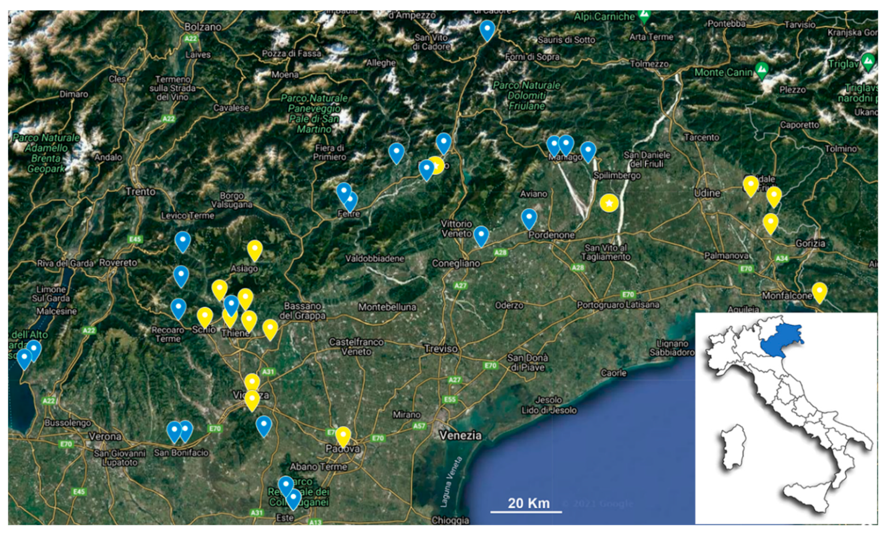 Insects 13 00216 g001 550