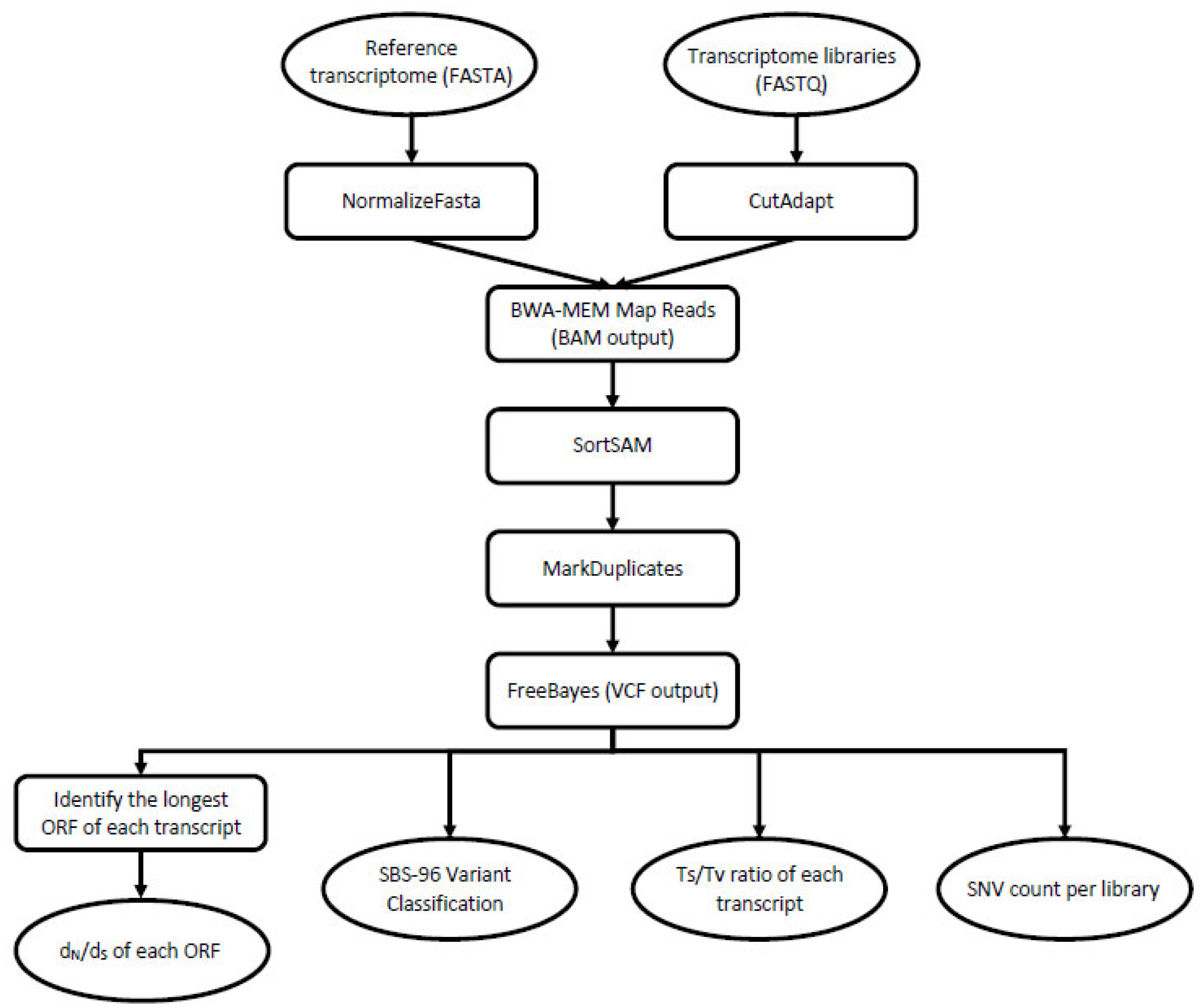 Insects 13 00224 g002