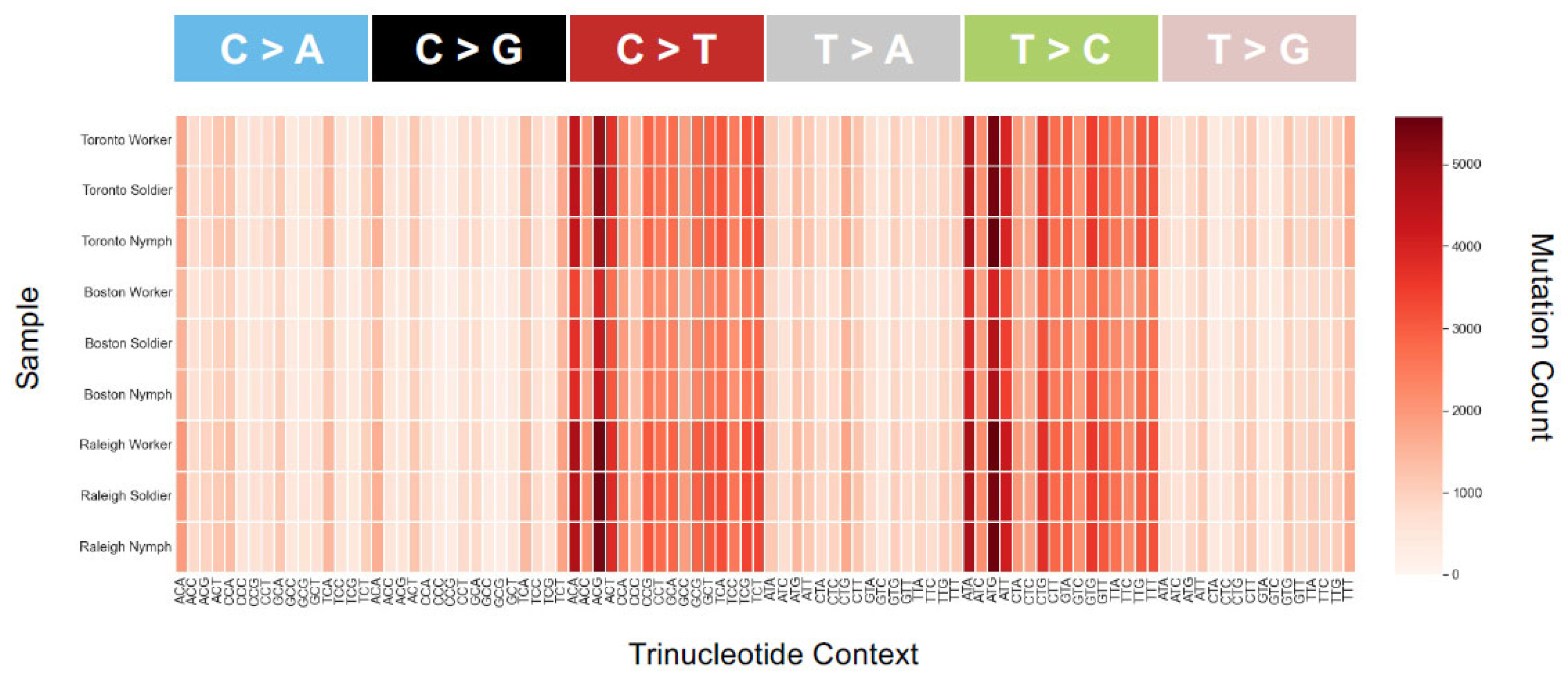 Insects 13 00224 g005