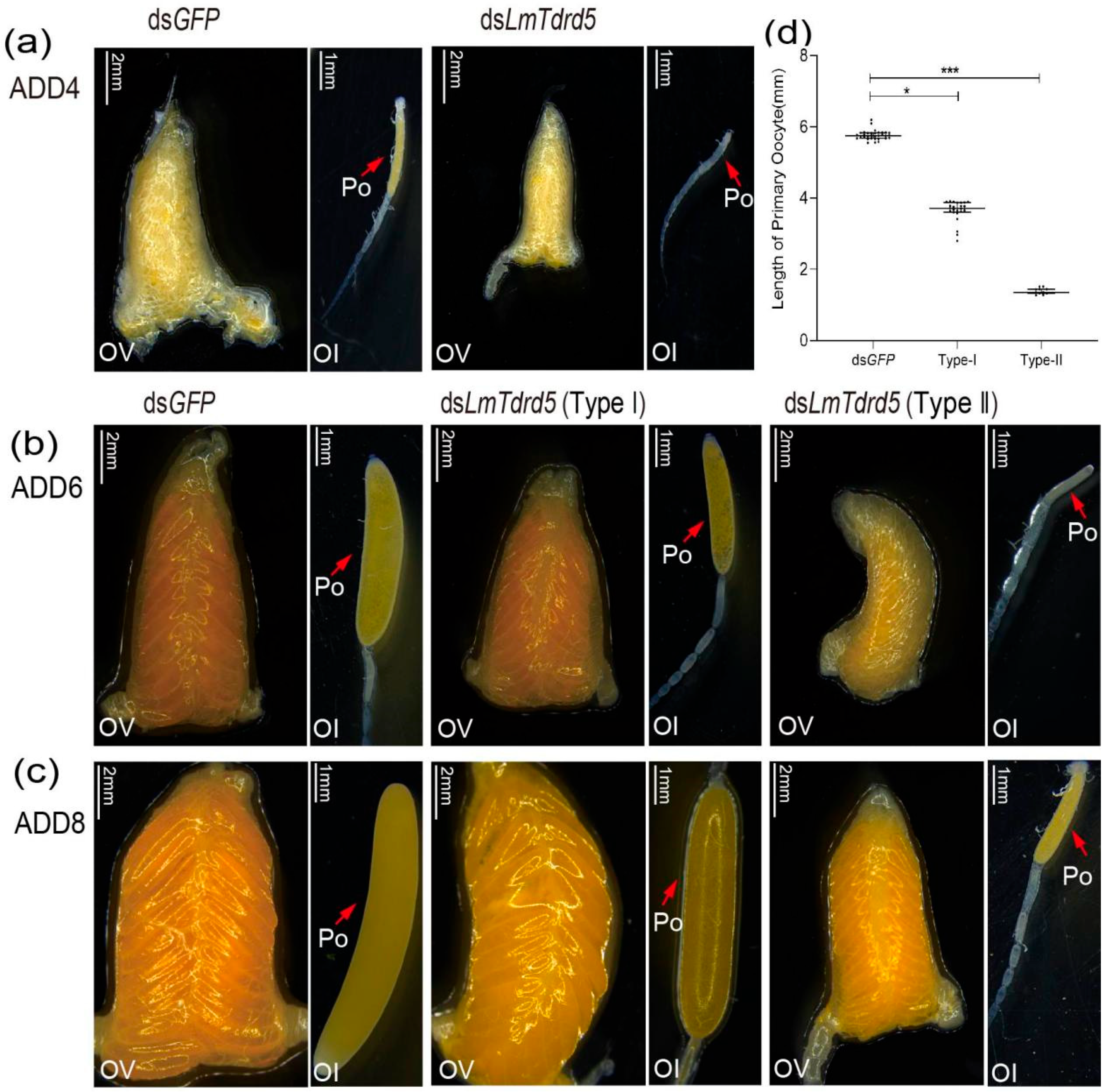 Insects 13 00227 g004 Insects 13 00227 g004