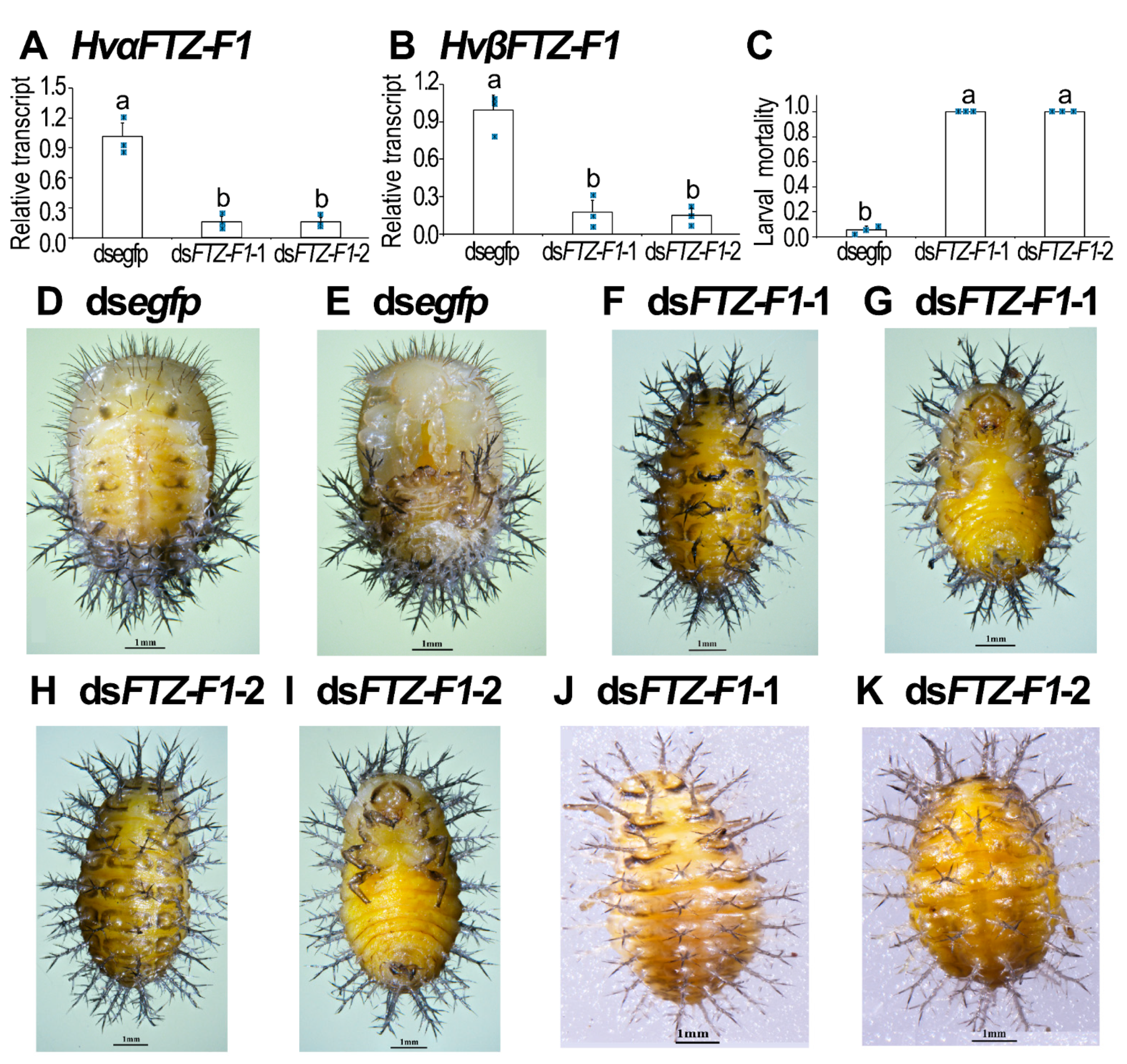 Insects 13 00228 g004