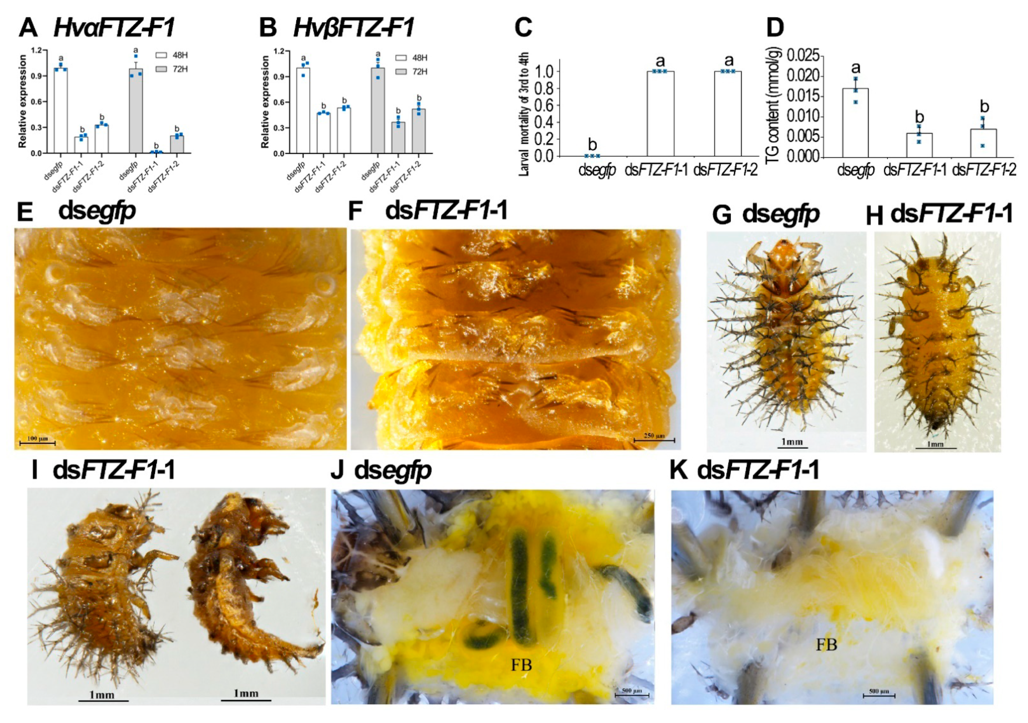 Insects 13 00228 g005