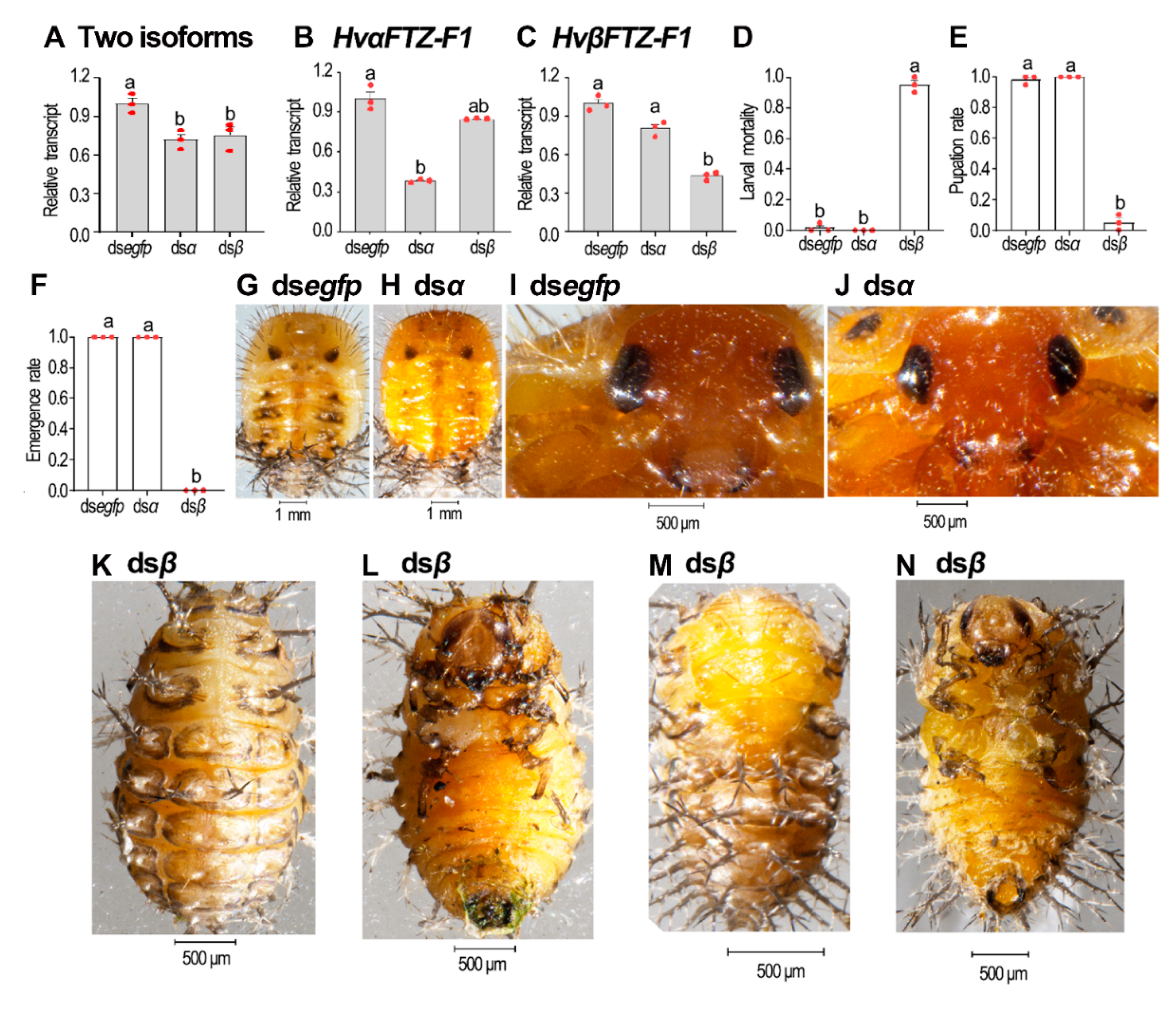 Insects 13 00228 g006