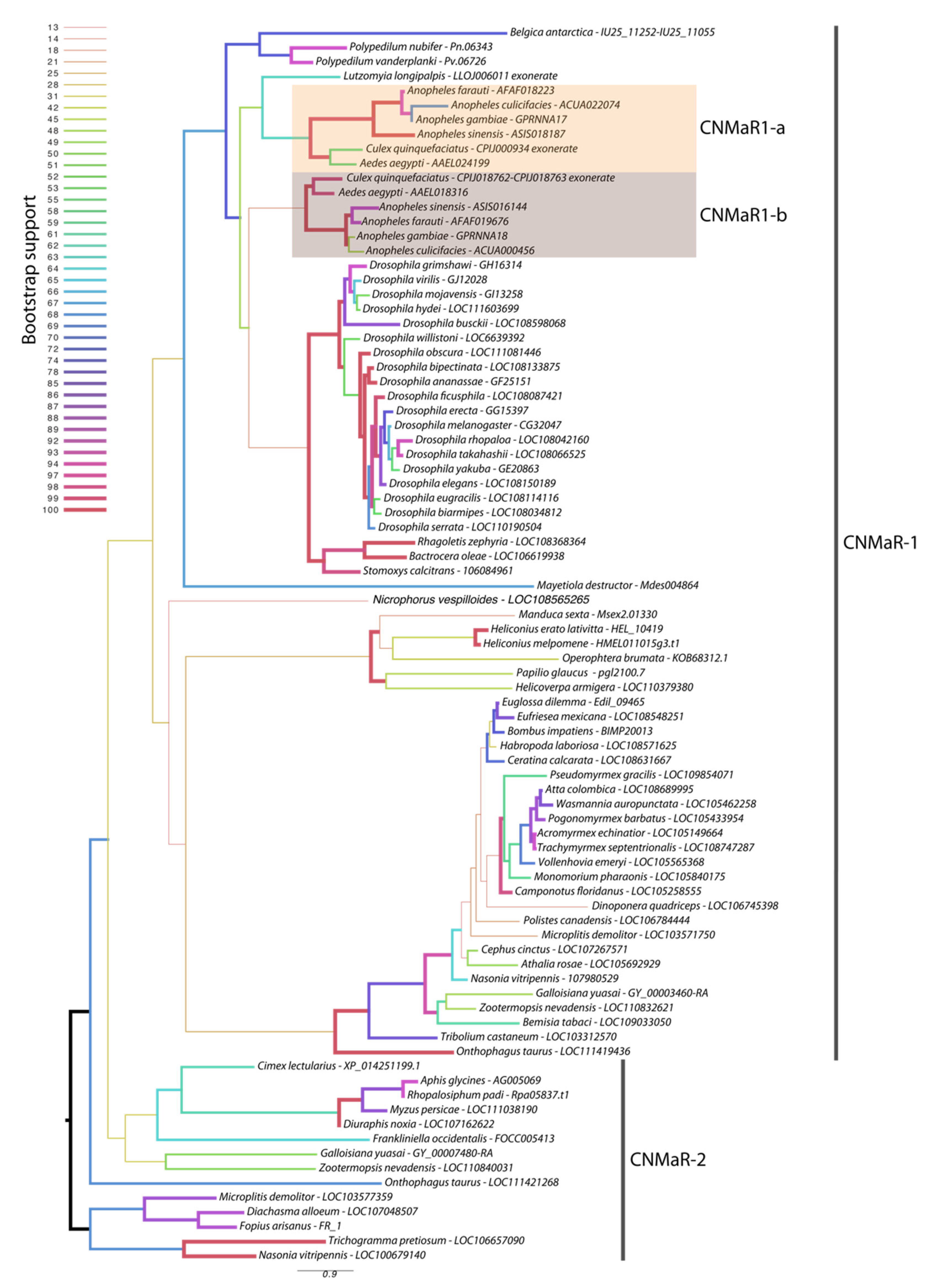 Insects 13 00230 g001 550