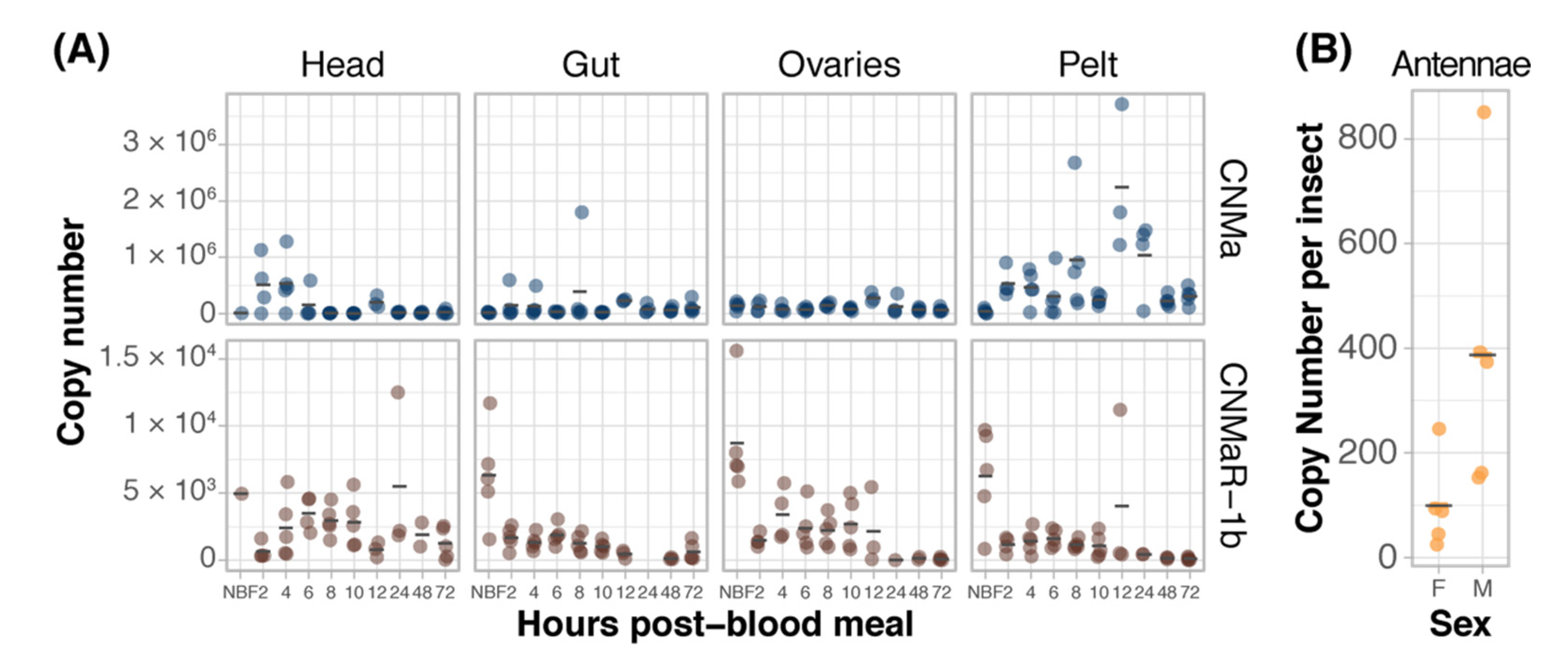 Insects 13 00230 g003 550