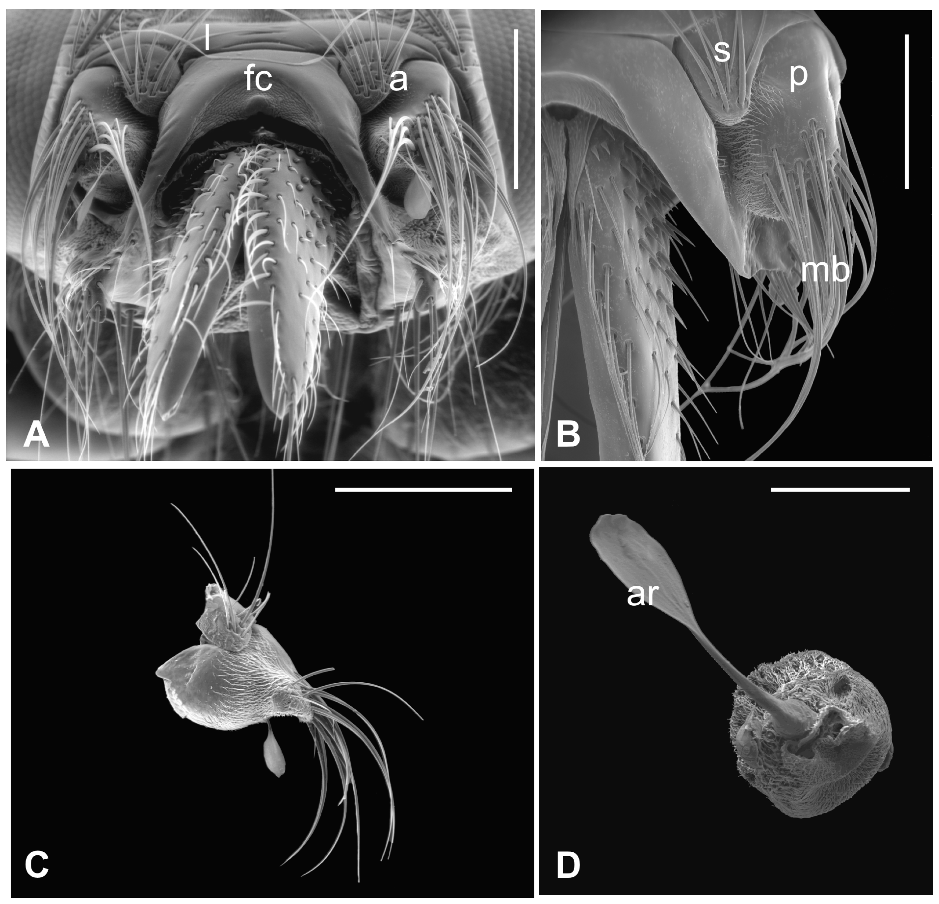 Insects 13 00236 g001 Insects 13 00236 g001