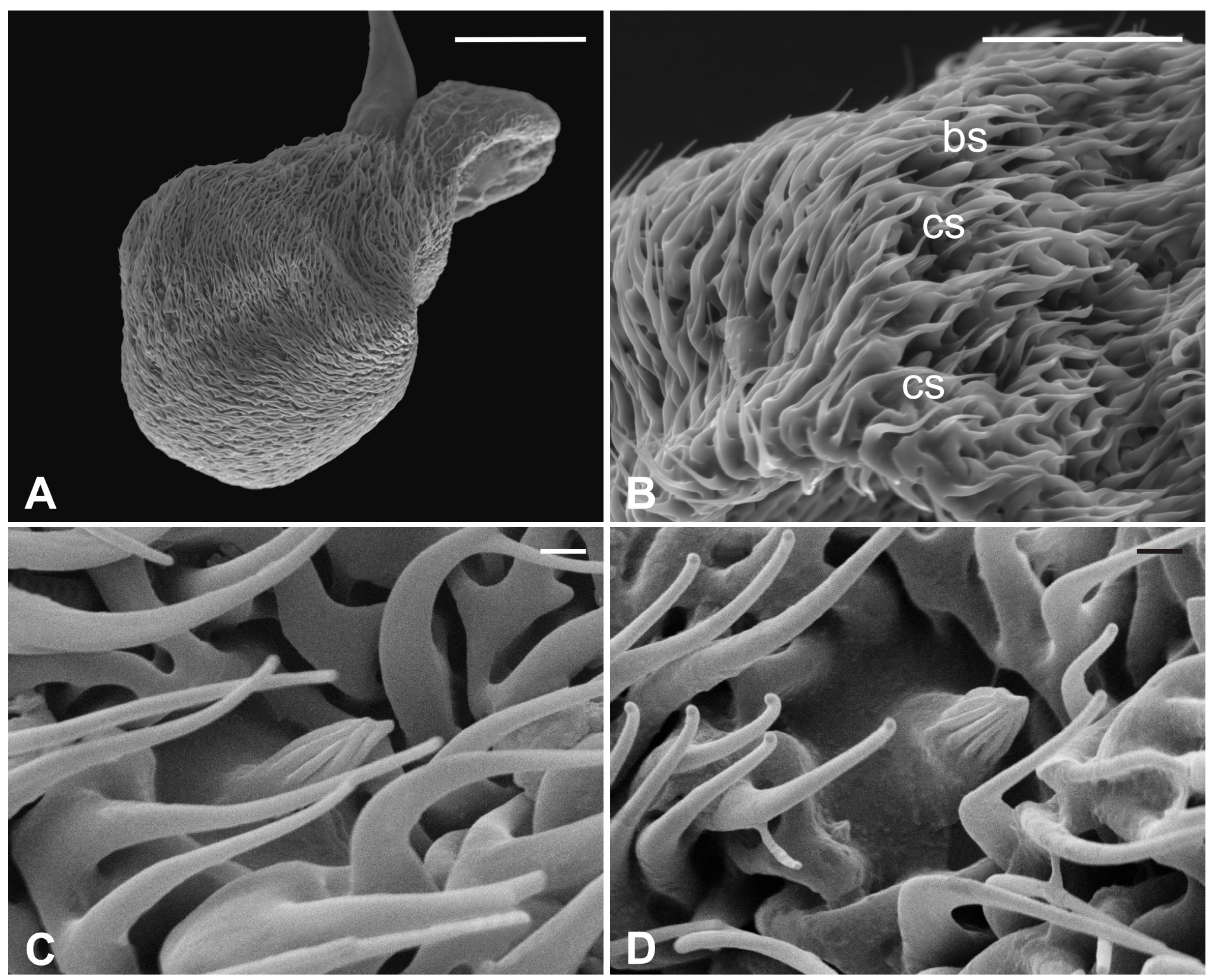 Insects 13 00236 g002 Insects 13 00236 g002