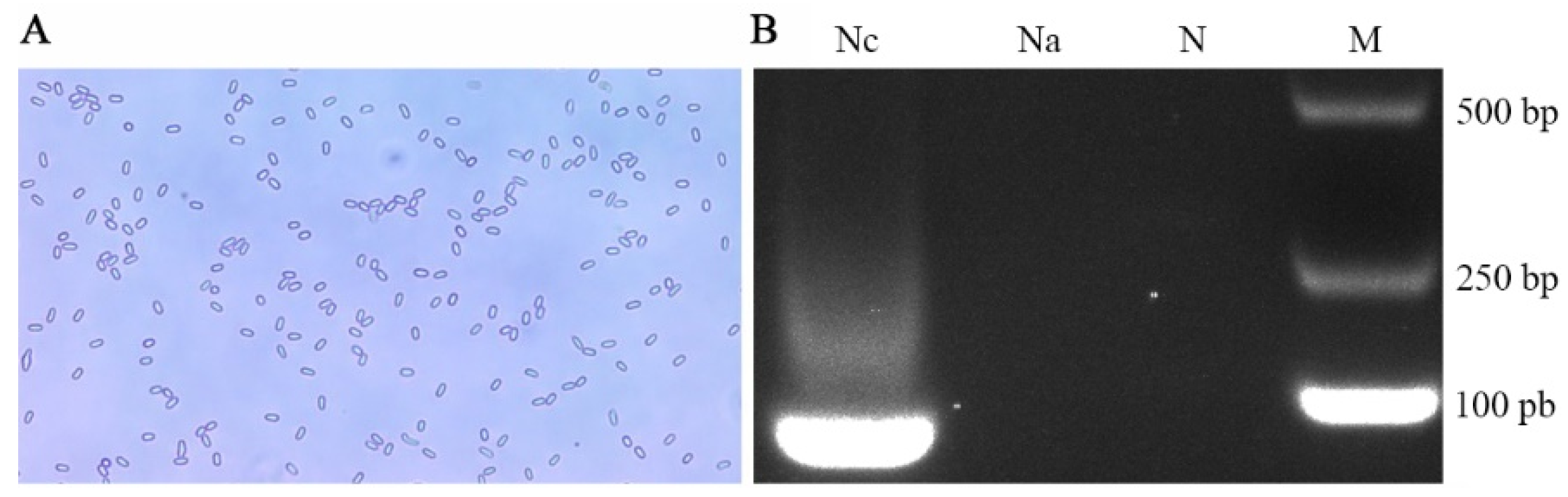 Insects 13 00241 g001