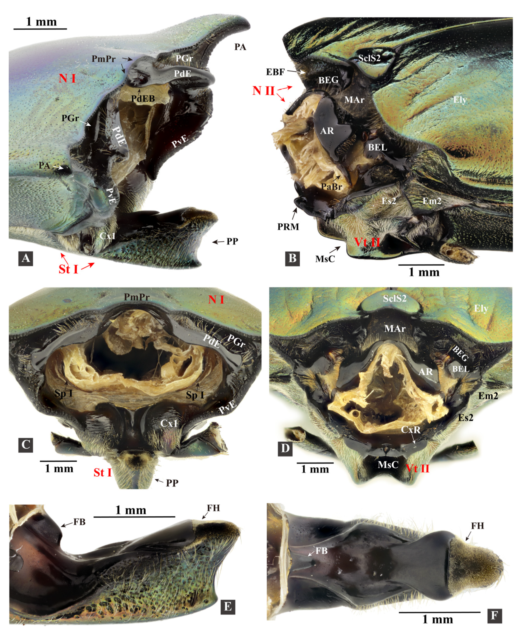 Insects 13 00248 g002