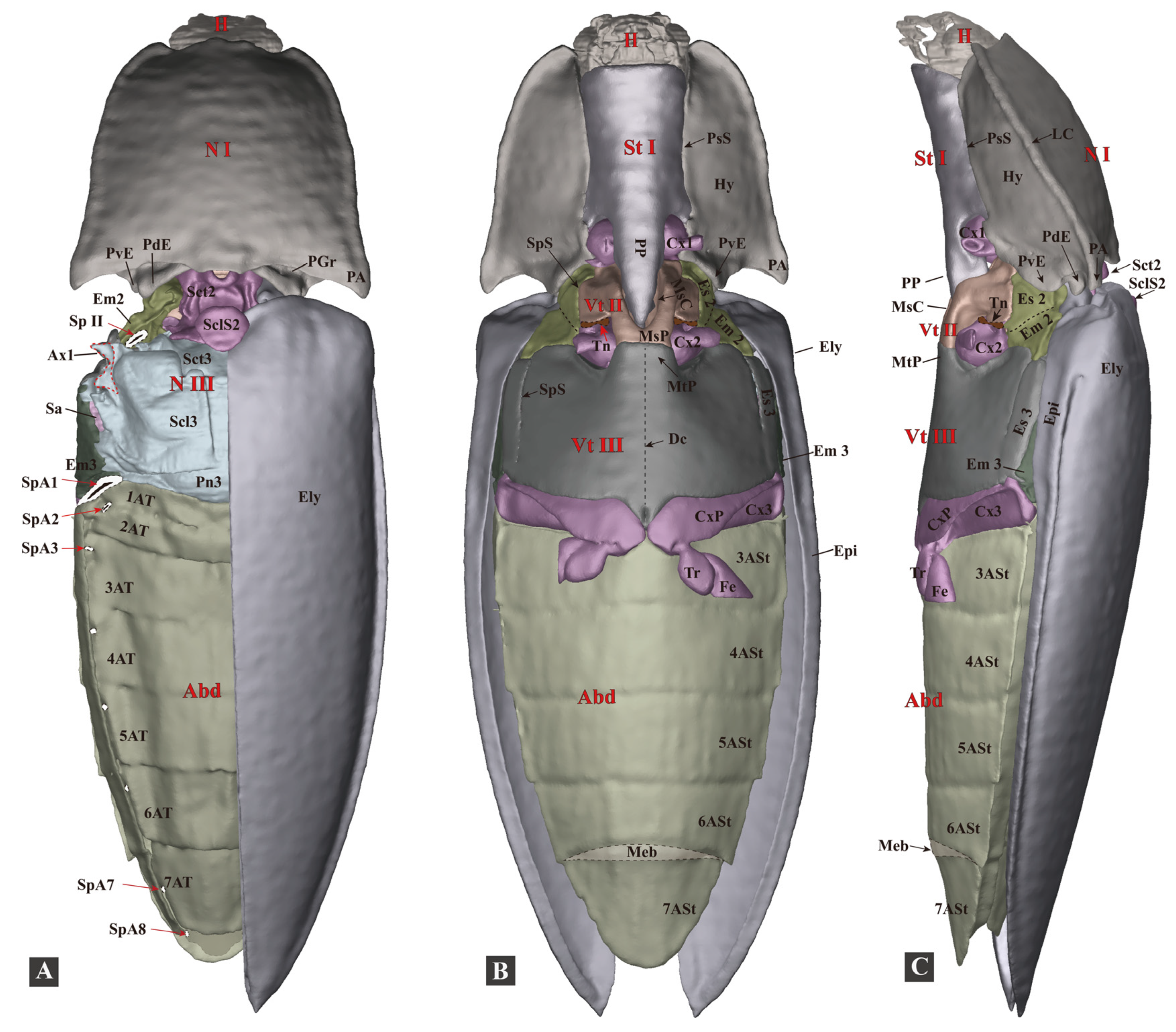 Insects 13 00248 g003