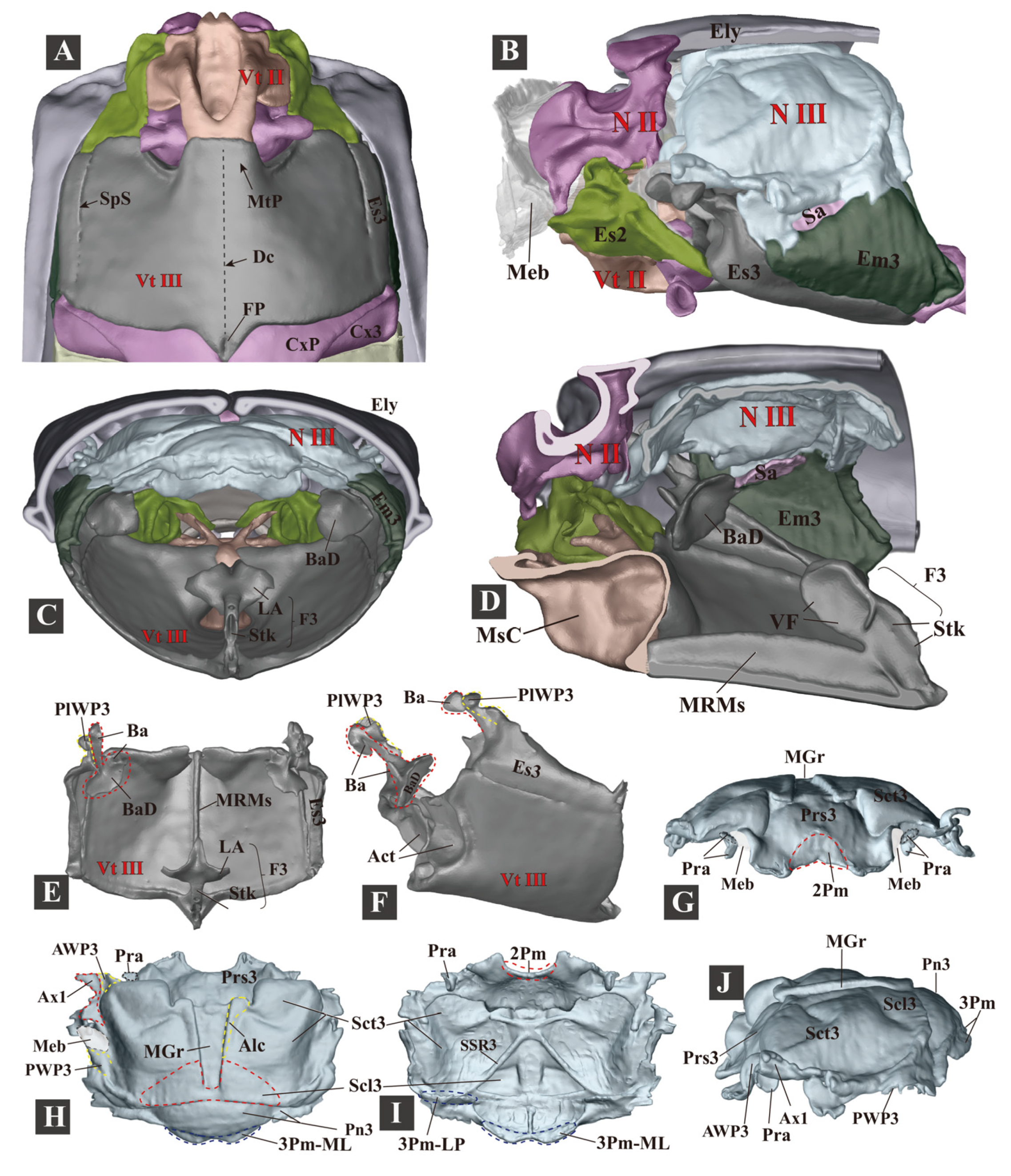 Insects 13 00248 g006