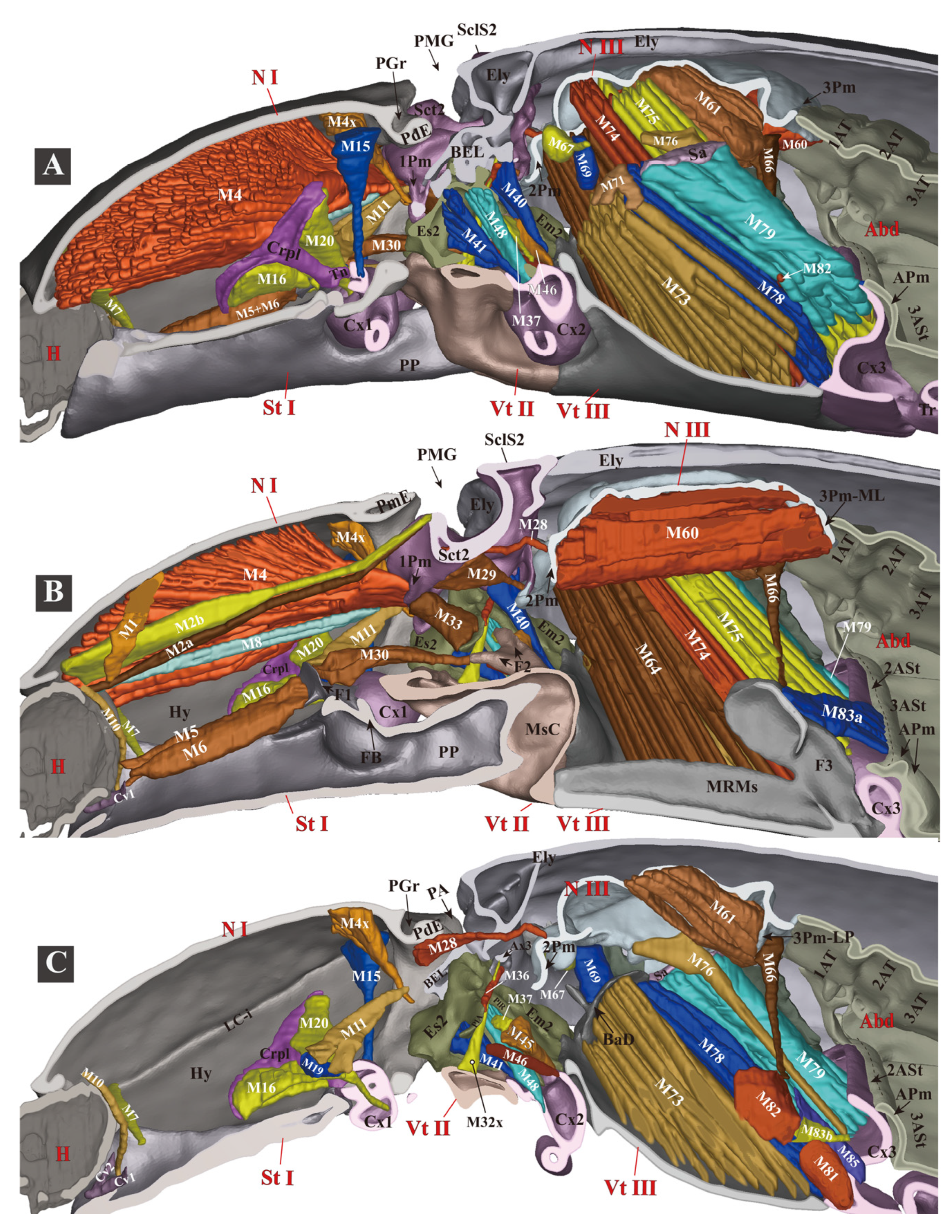 Insects 13 00248 g007
