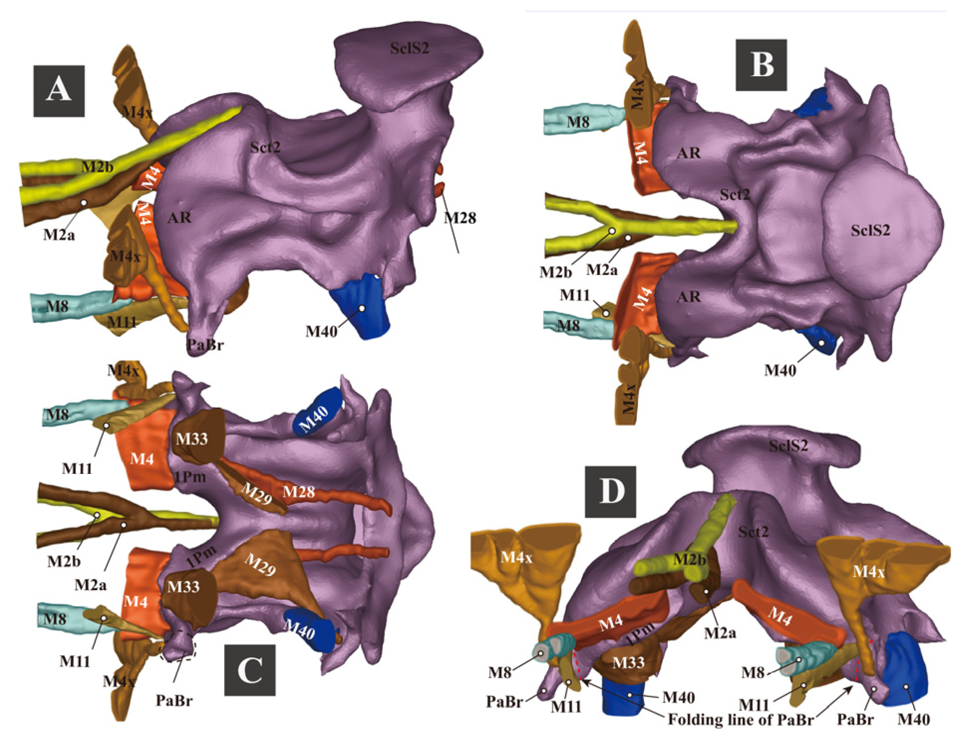Insects 13 00248 g008