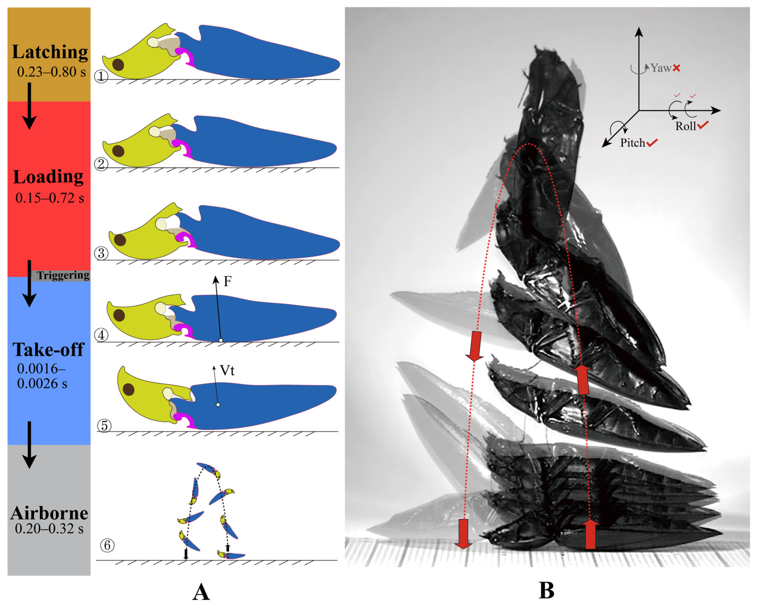 Insects 13 00248 g011