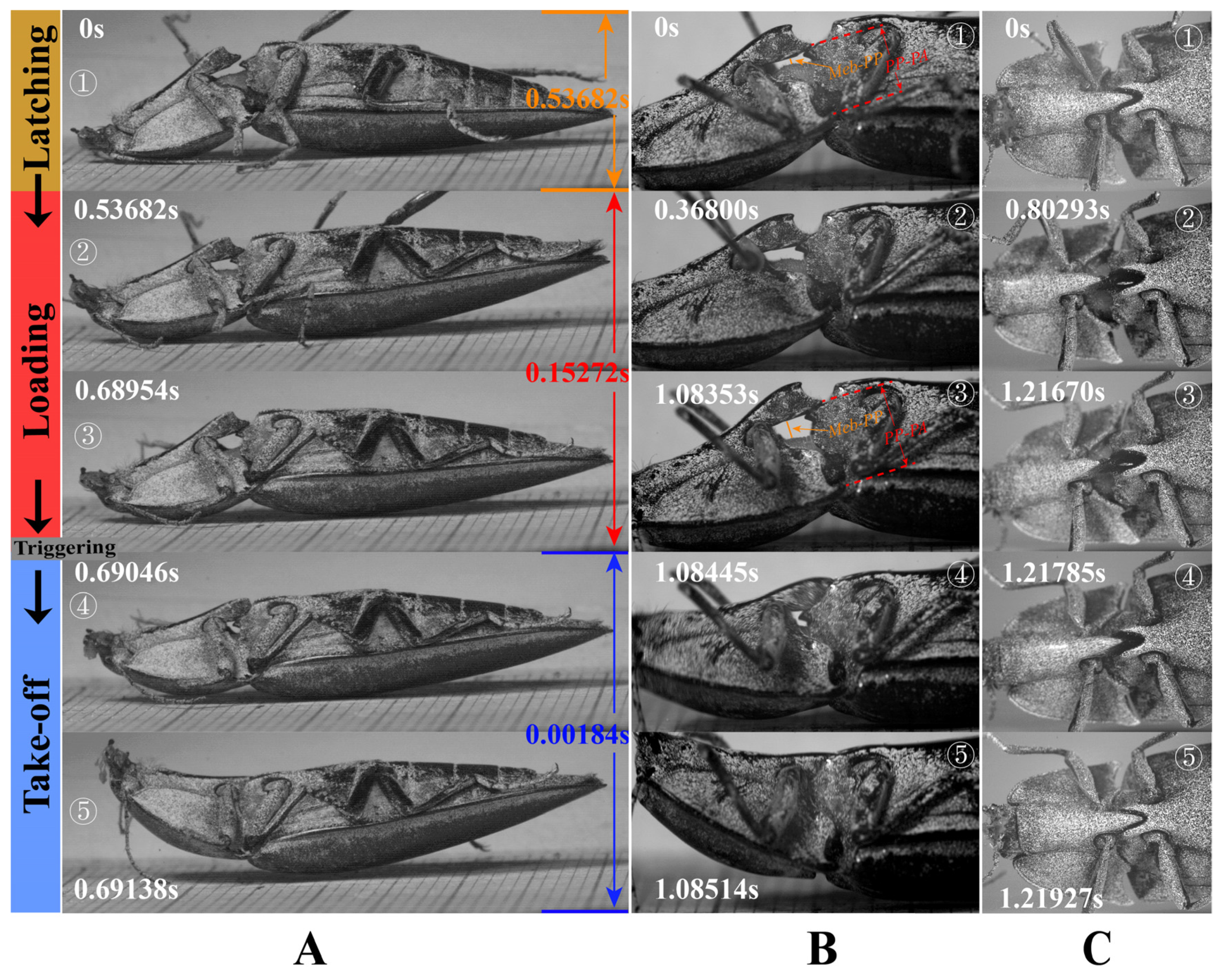 Insects 13 00248 g012