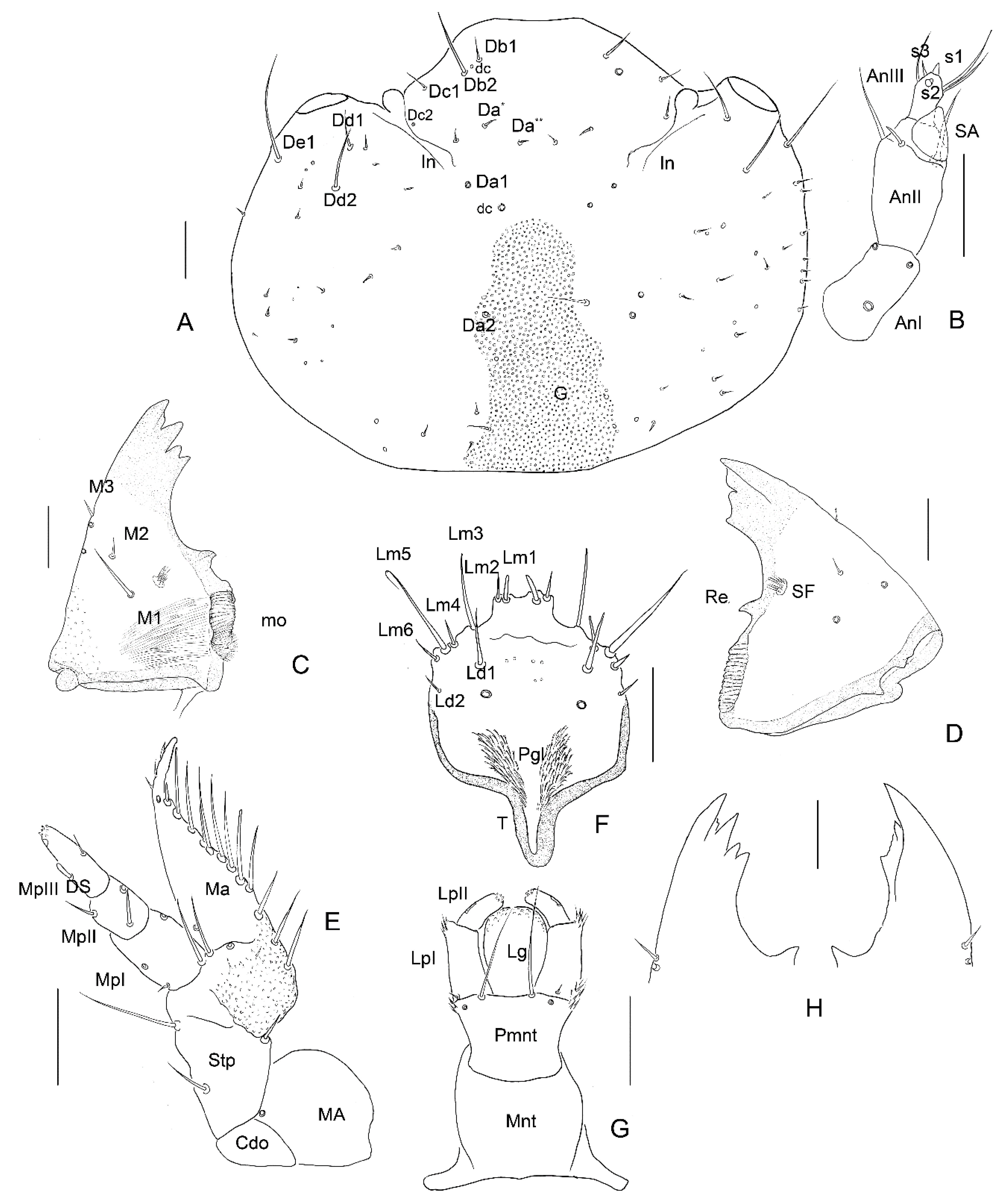 Insects 13 00249 g004