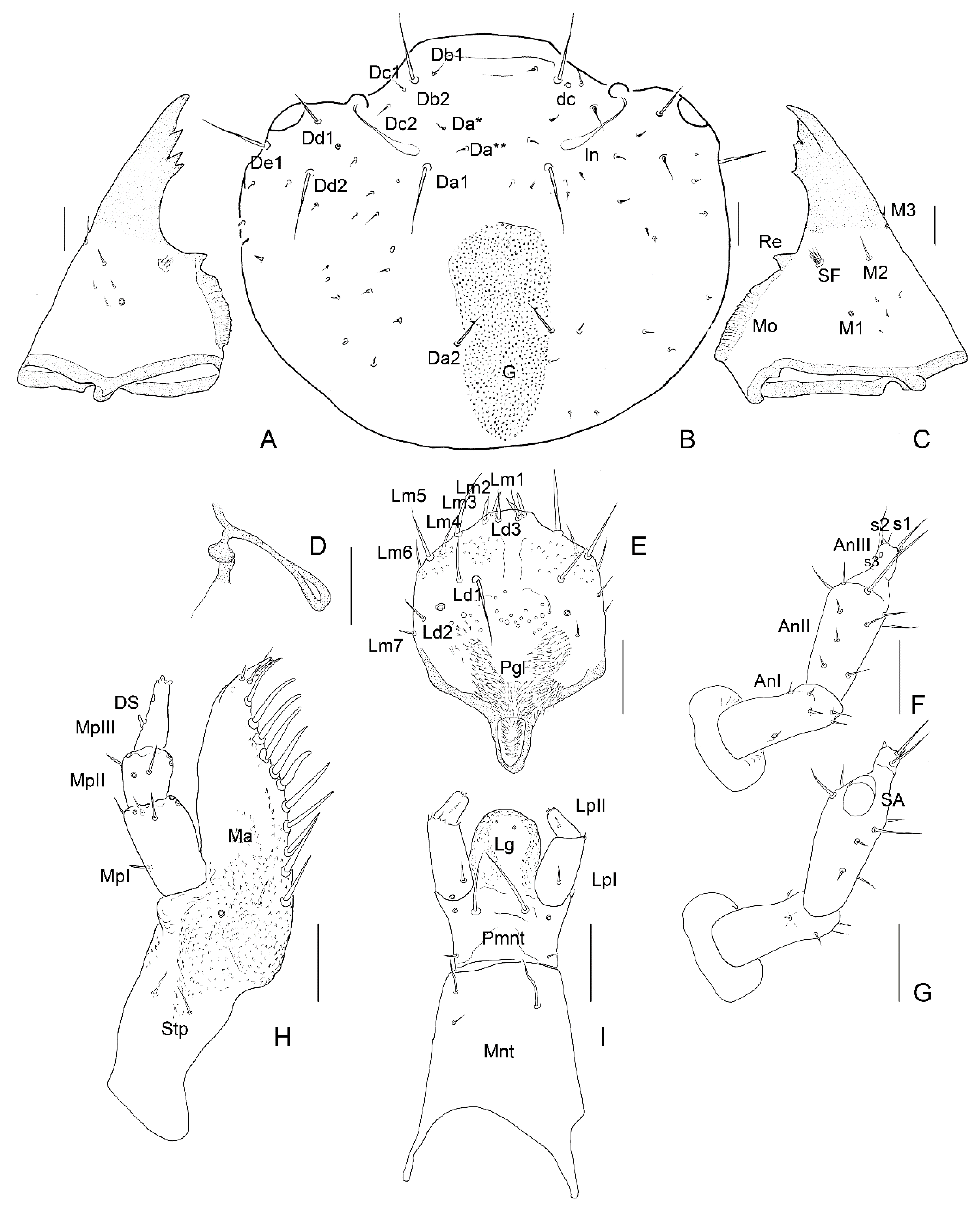 Insects 13 00249 g005