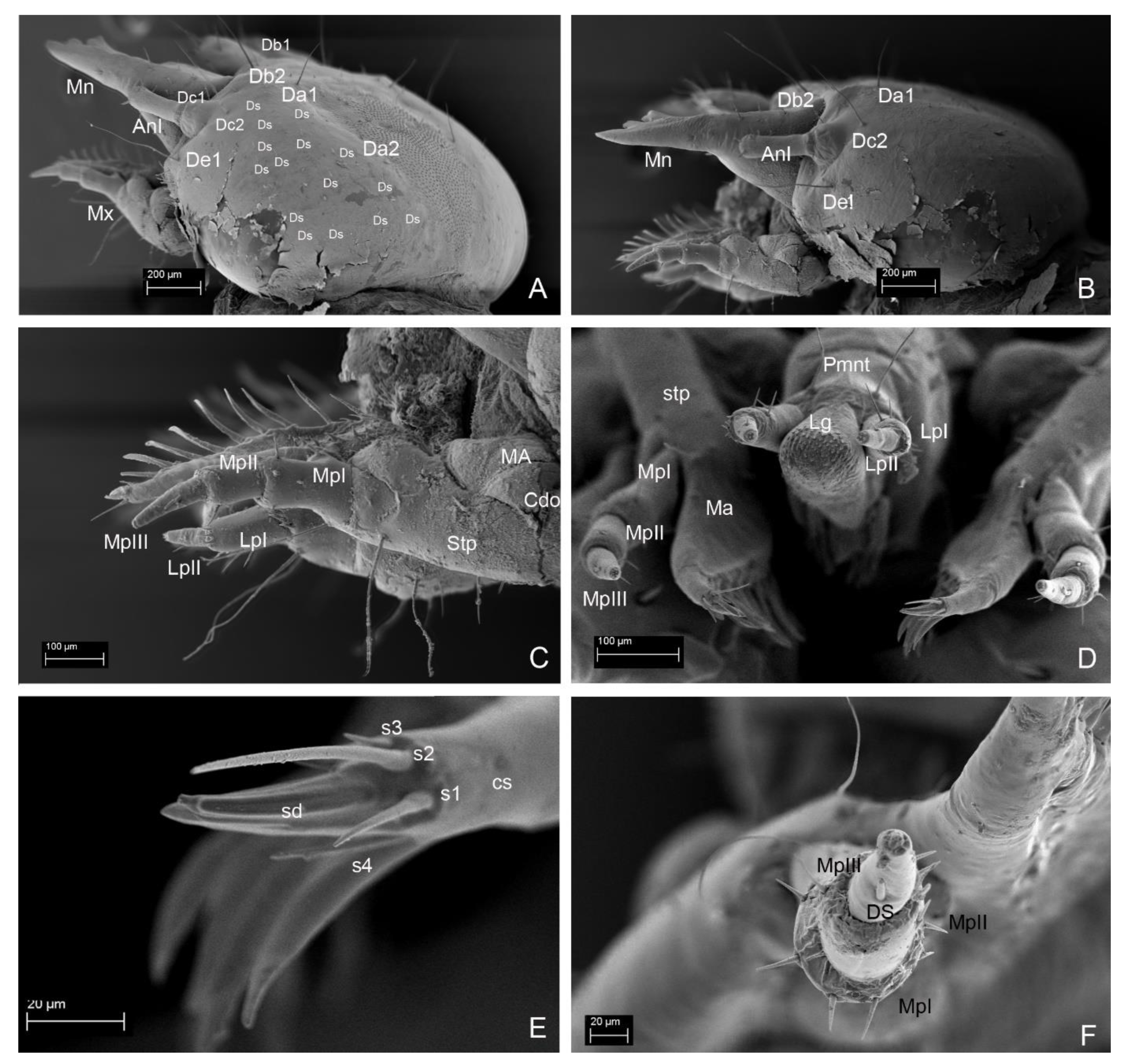 Insects 13 00249 g009