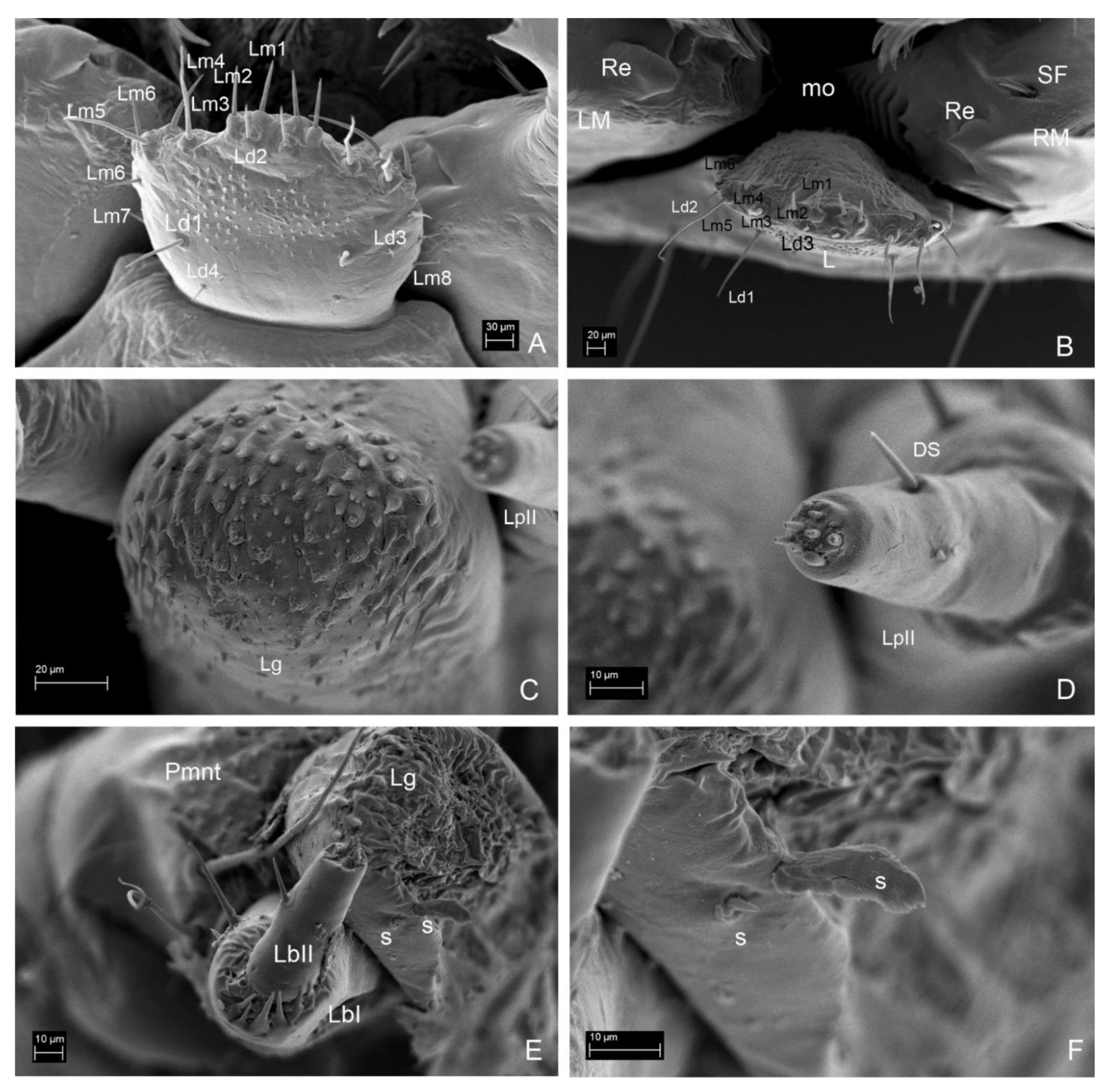 Insects 13 00249 g011