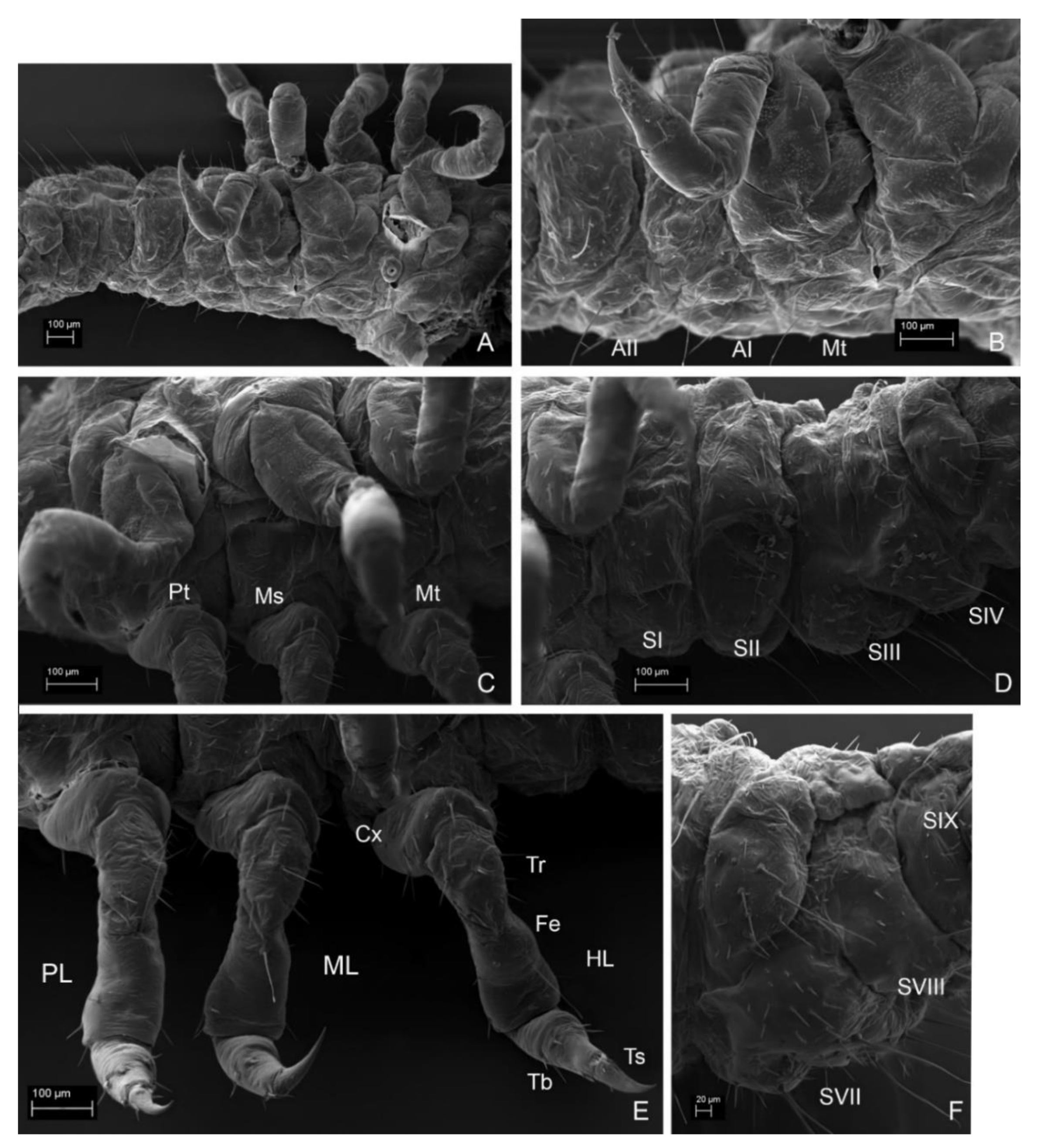 Insects 13 00249 g012
