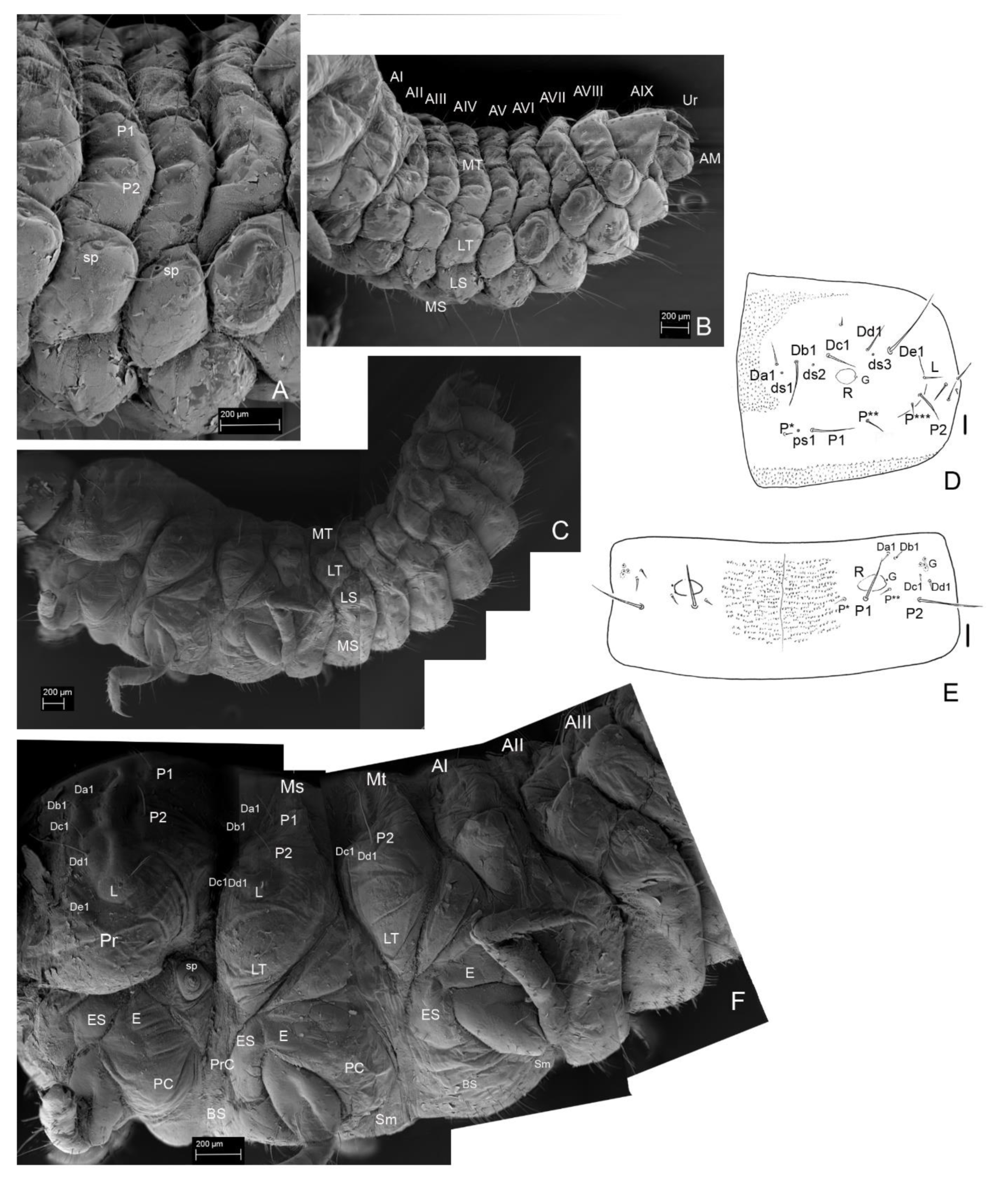 Insects 13 00249 g014