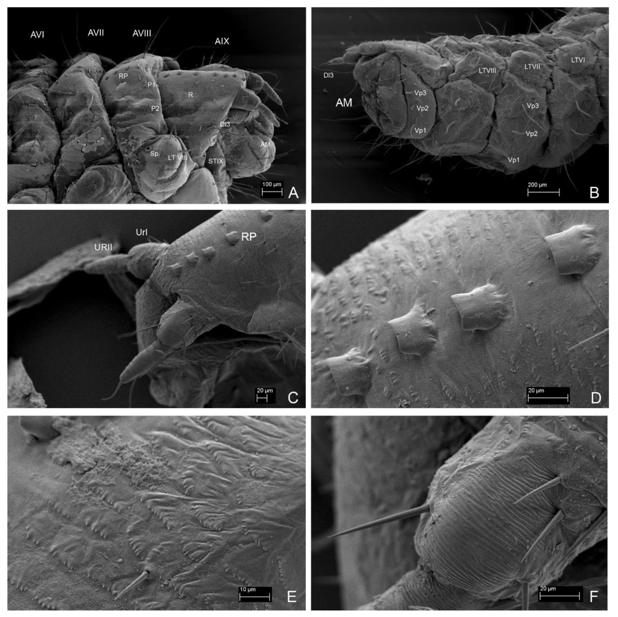 Insects 13 00249 g015