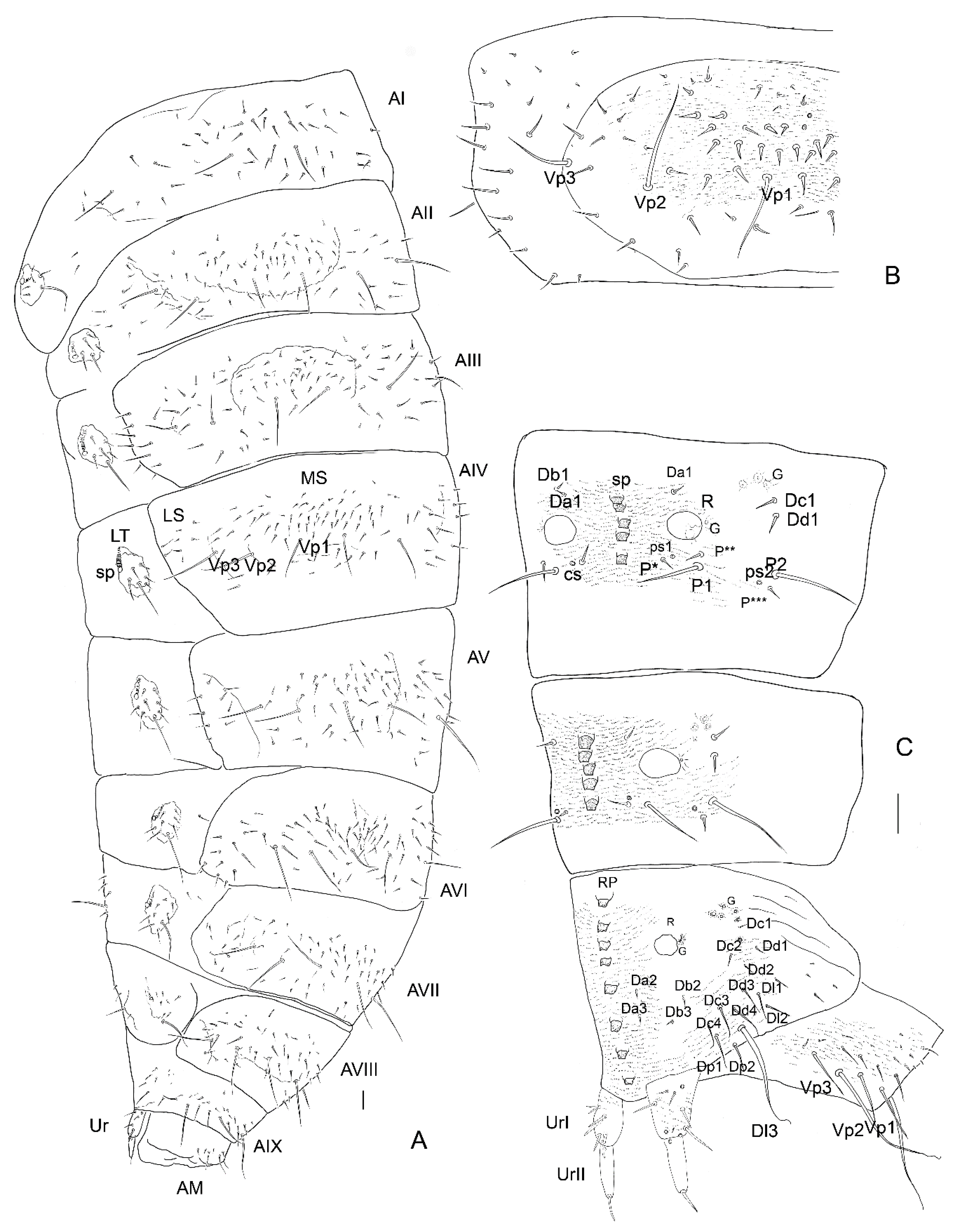 Insects 13 00249 g016