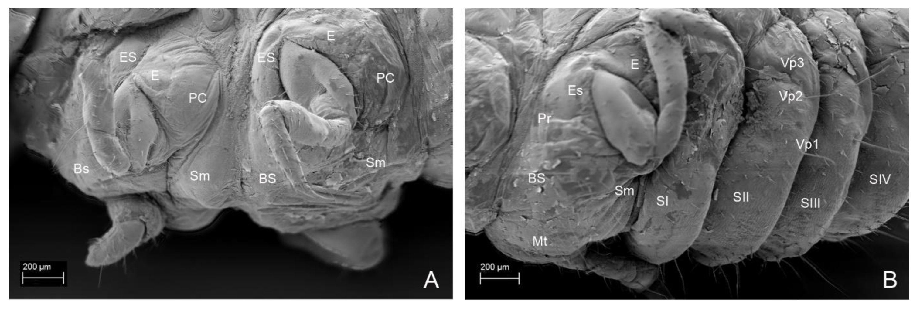 Insects 13 00249 g017