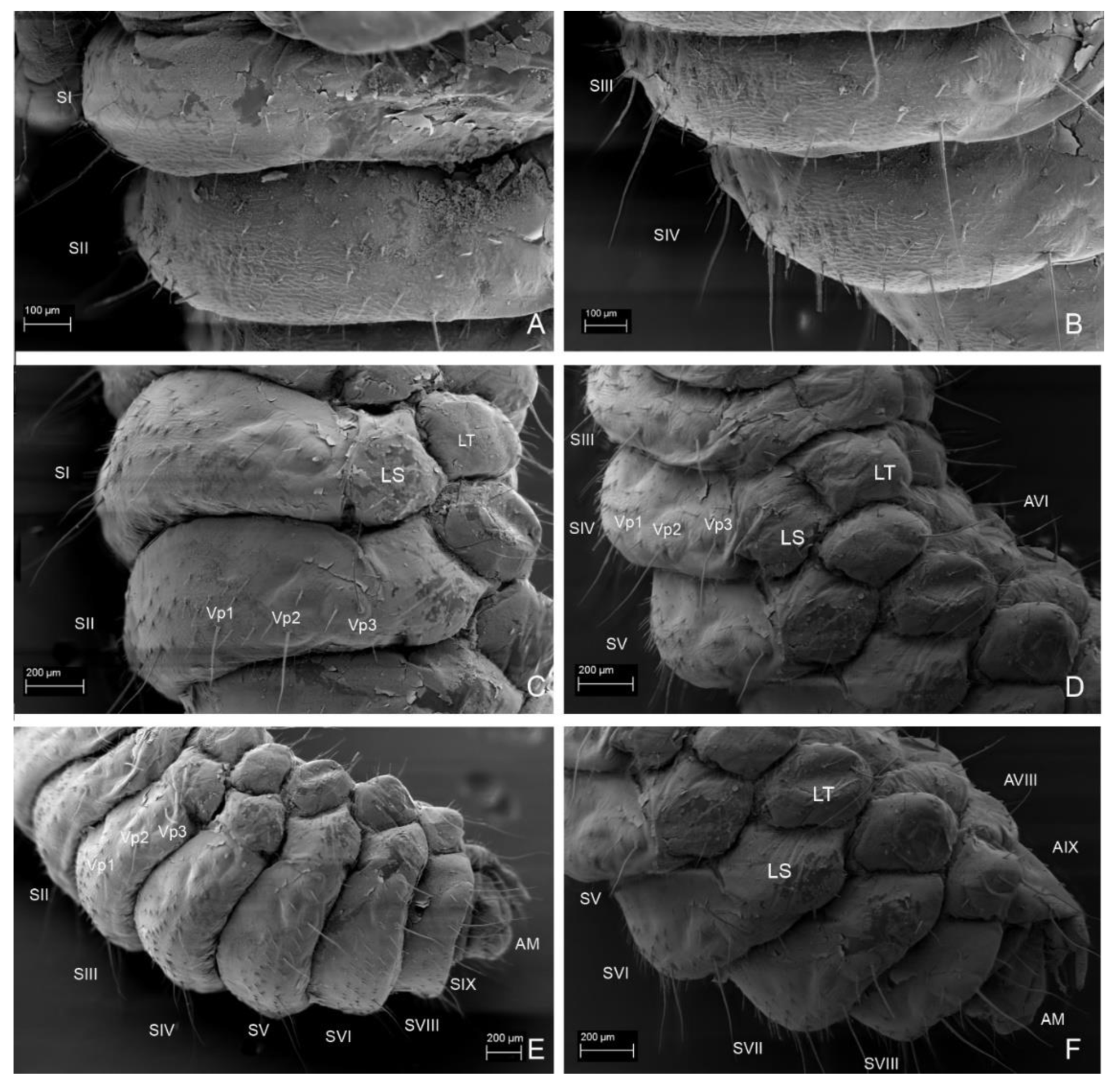 Insects 13 00249 g018