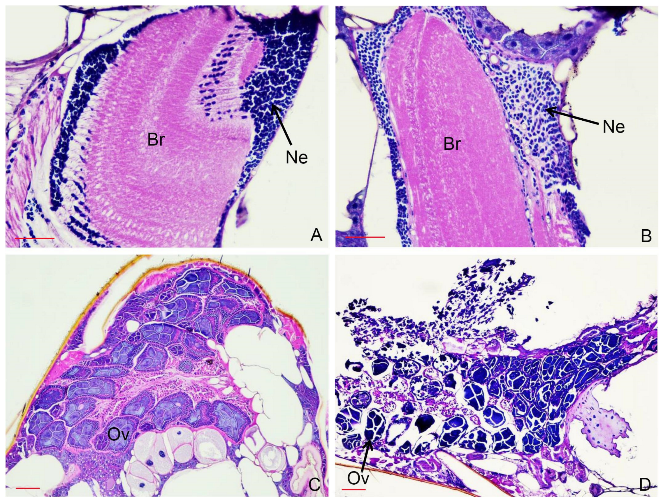 Insects 13 00255 g003 Insects 13 00255 g003