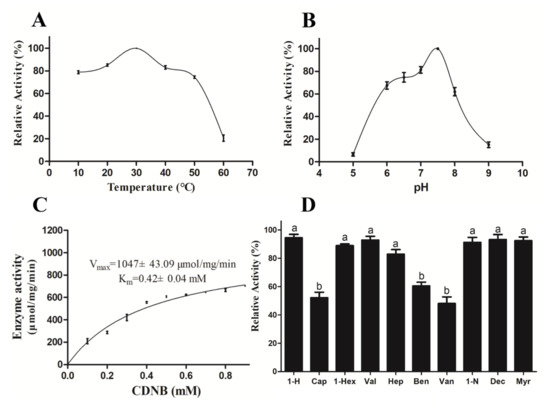 l glutamic acid vs glutathione Glutathione synthesis: A two-step pathway. Homeostasis of cellular