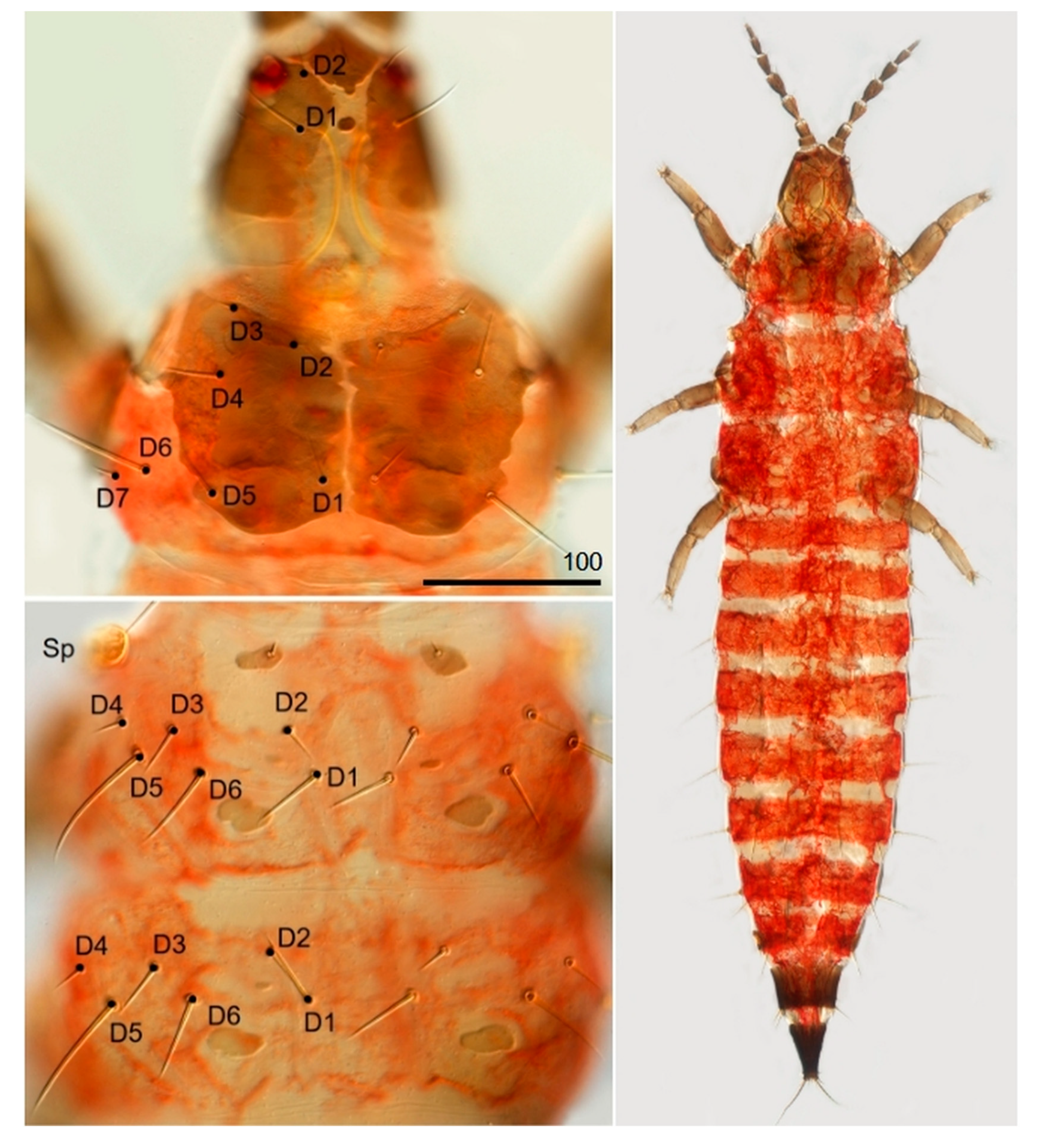 Insects 13 00279 g0a1 Insects 13 00279 g0a1