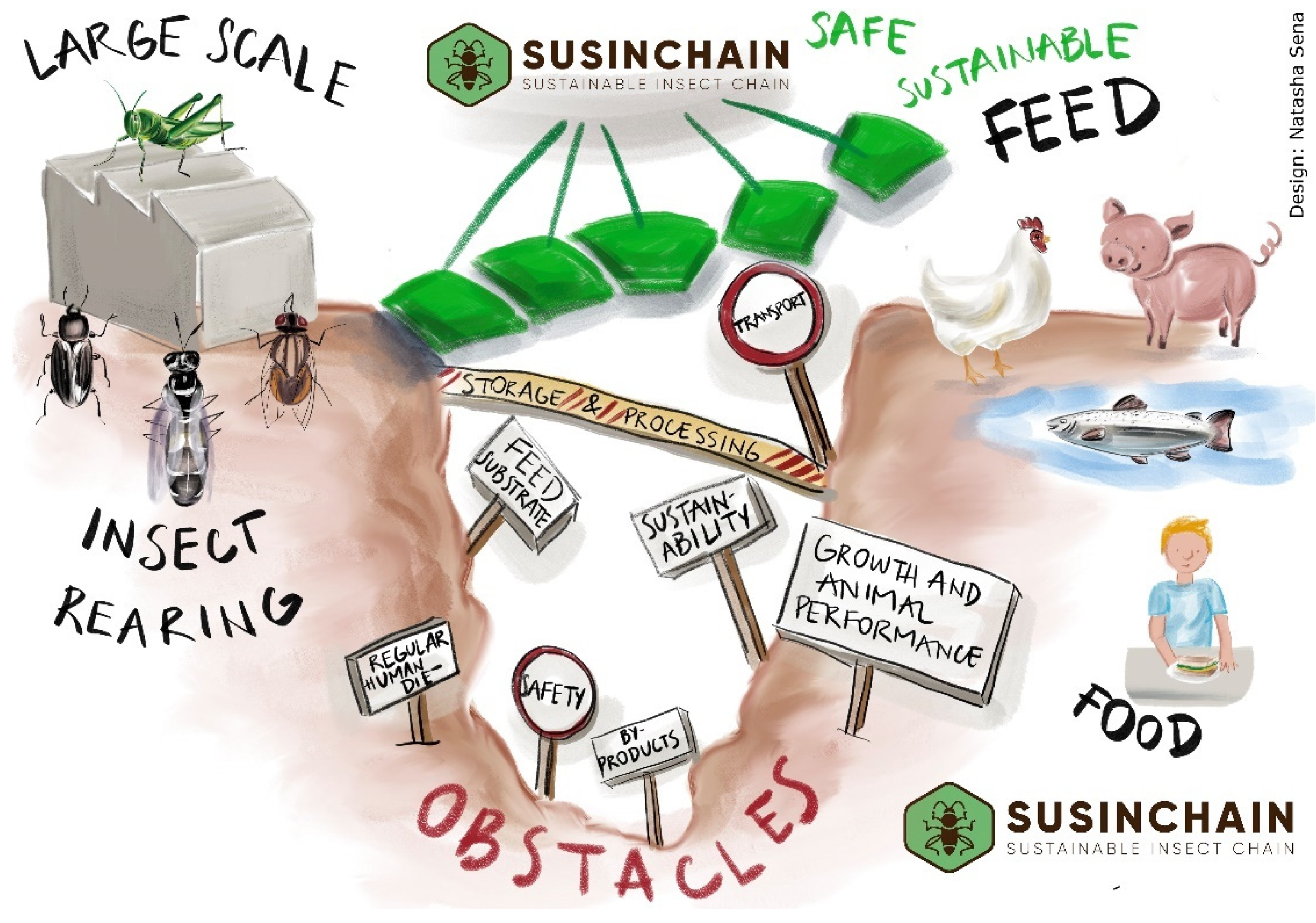 Insects 13 00281 g001 Insects 13 00281 g001