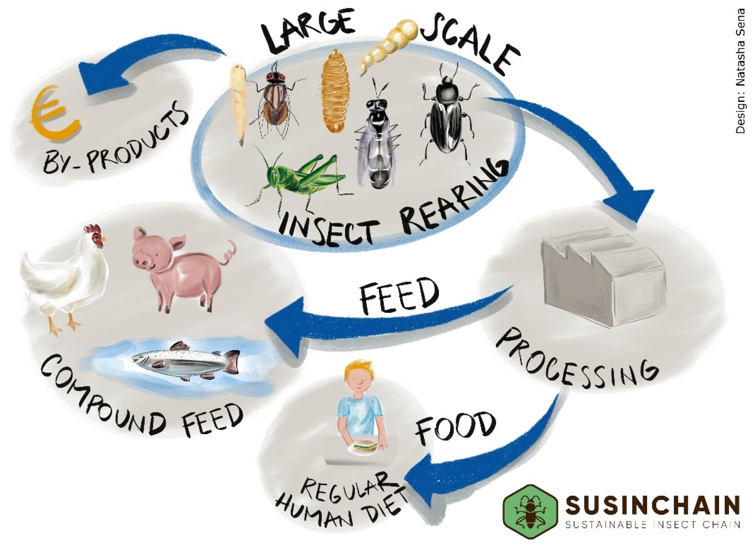 Insects 13 00281 g002 Insects 13 00281 g002