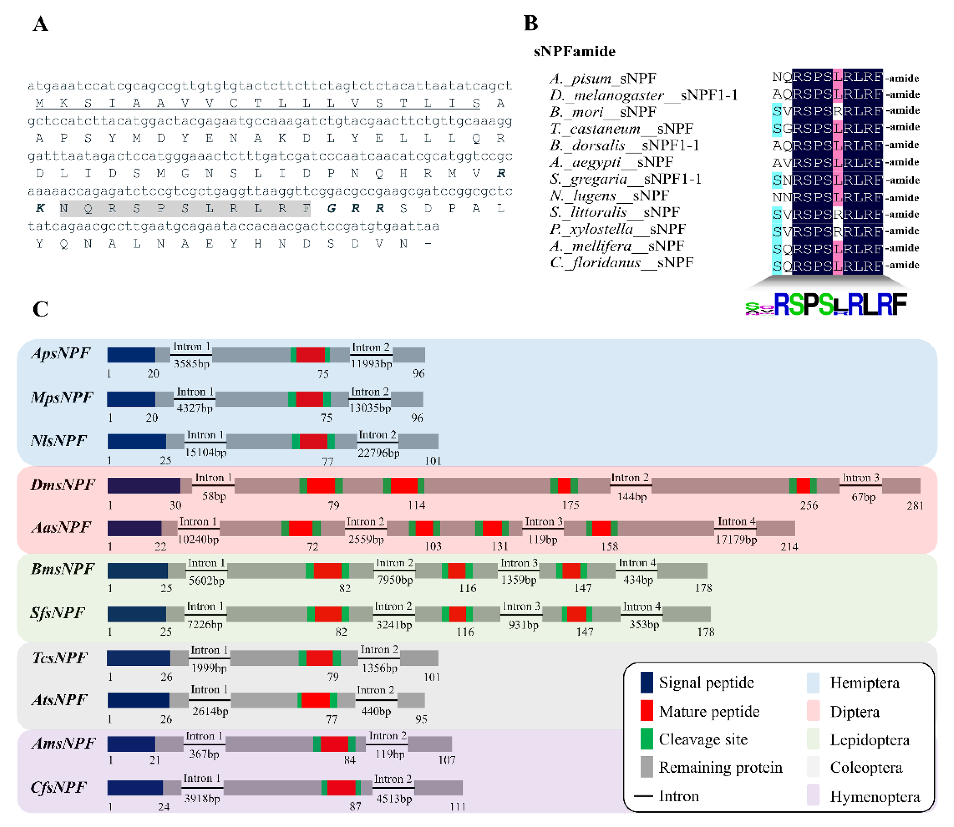 Insects 13 00282 g001 550