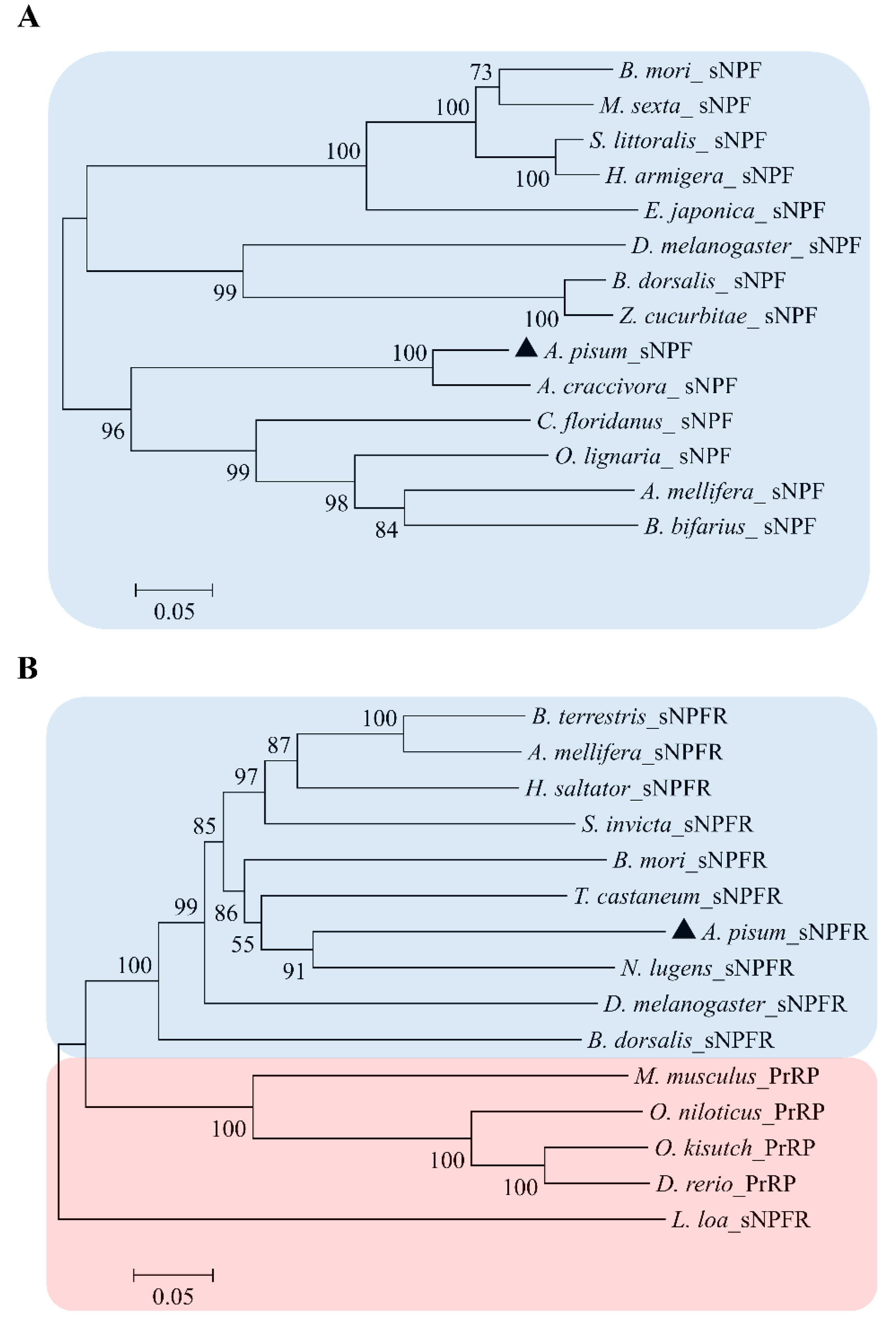 Insects 13 00282 g003 550