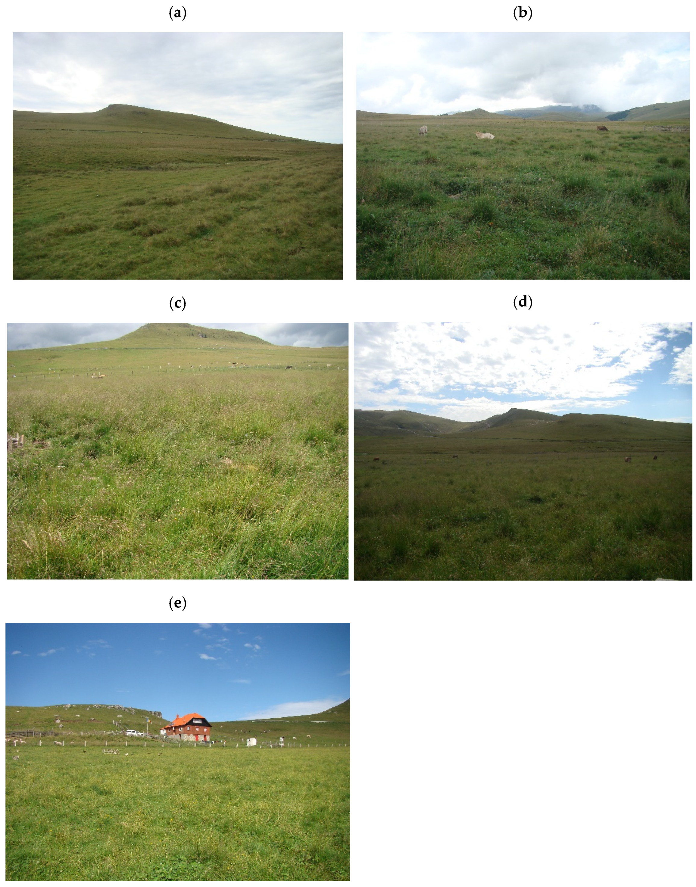 Insects 13 00285 g002