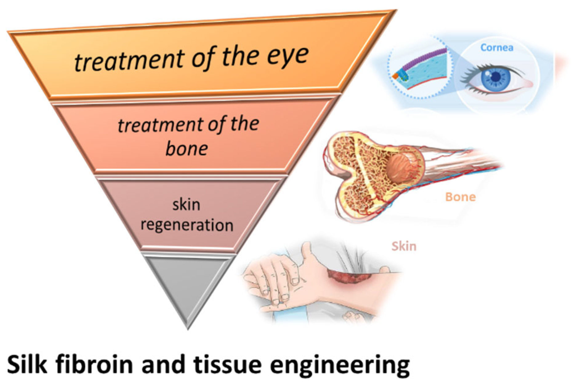 Insects 13 00286 g005 550