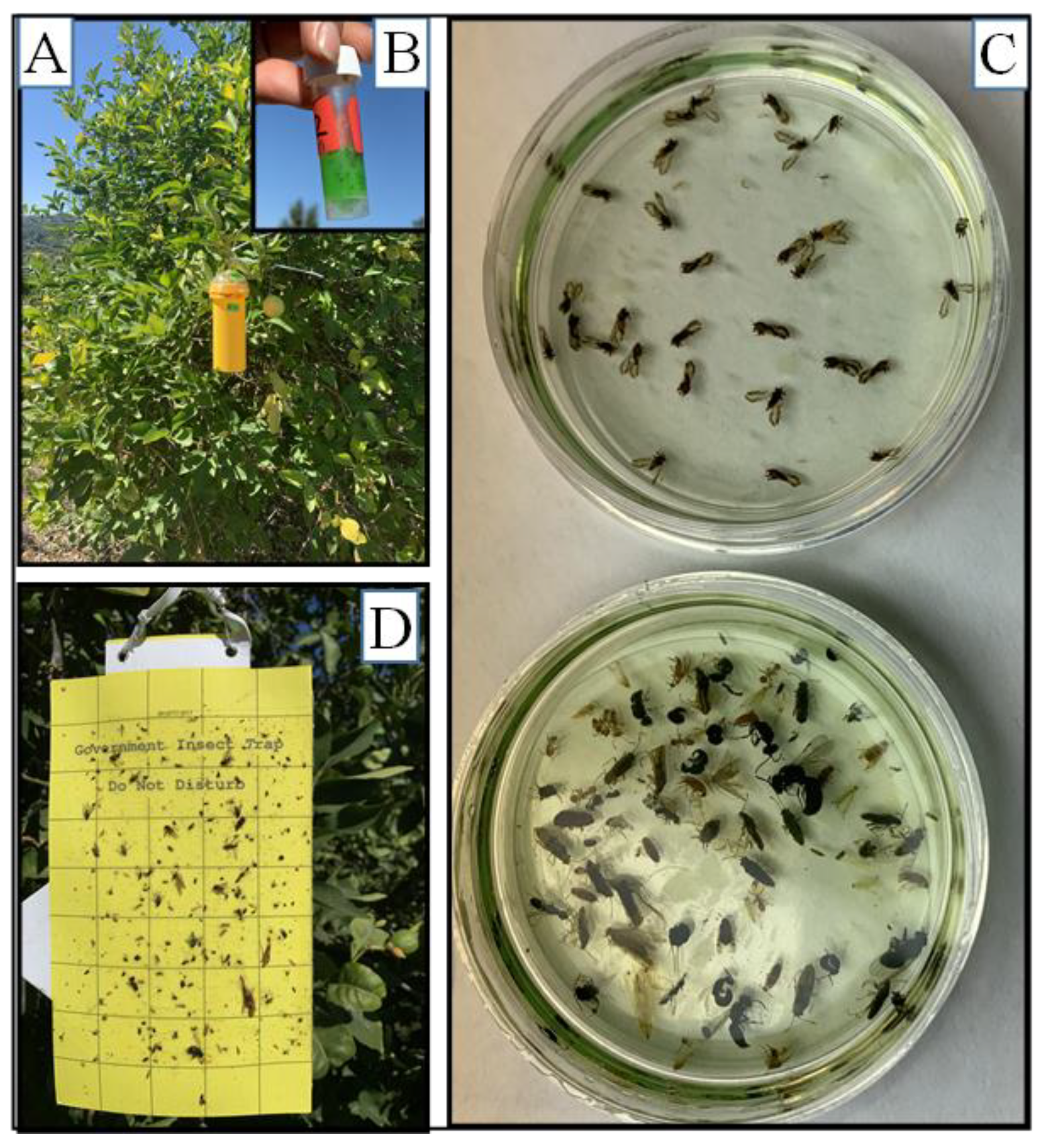 Insects 13 00295 g008 Insects 13 00295 g008