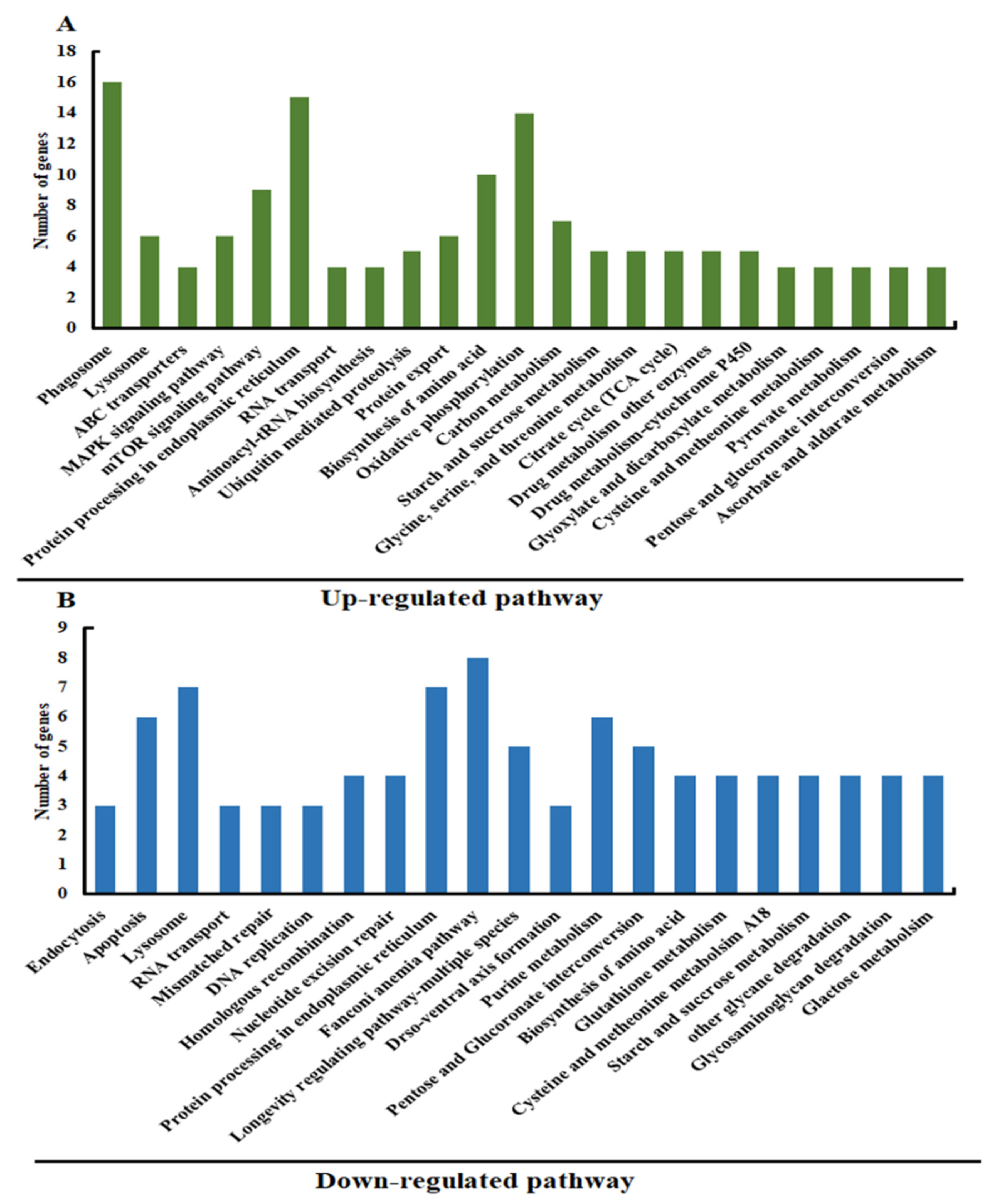 Insects 13 00296 g004 Insects 13 00296 g004