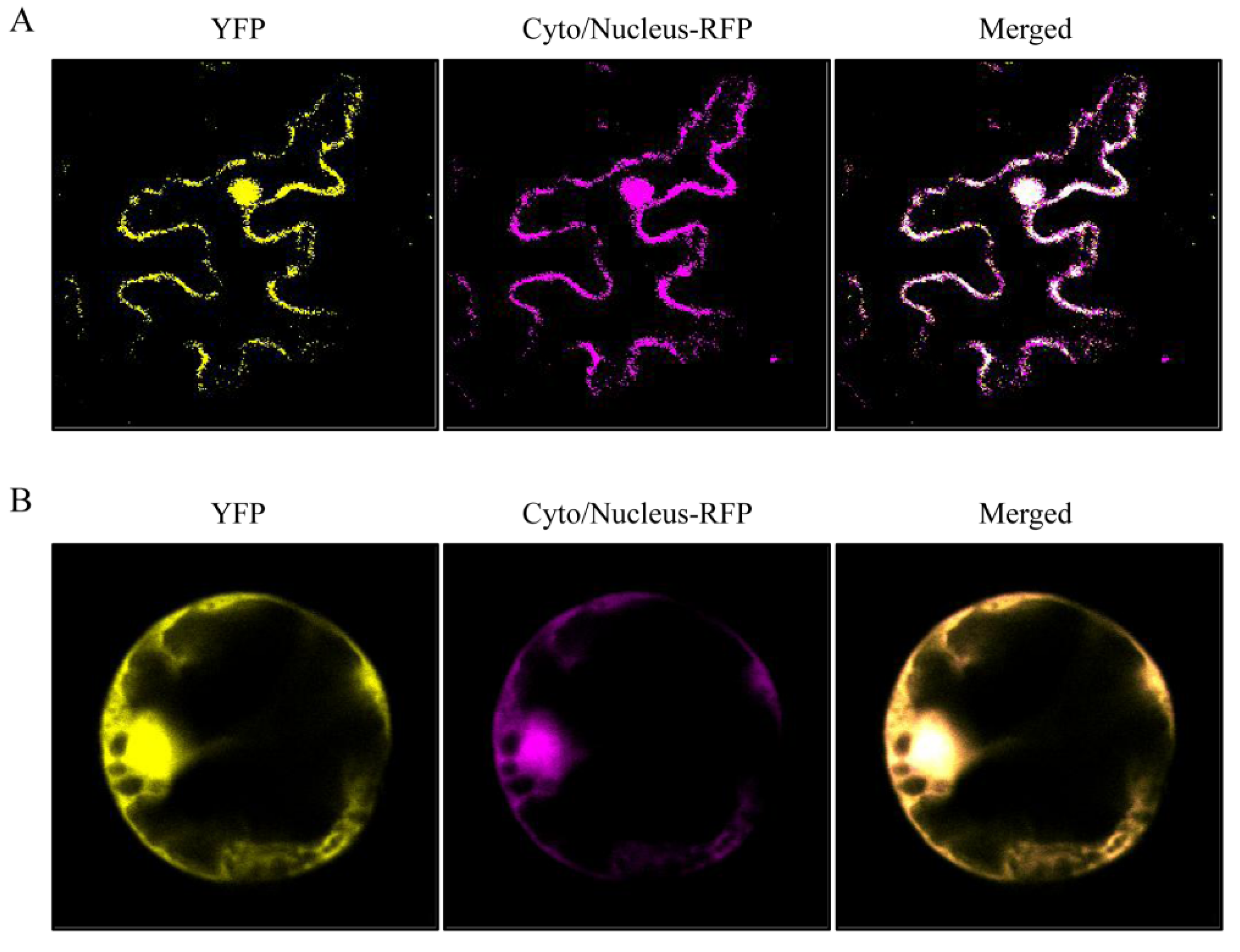 Insects 13 00299 g003 550