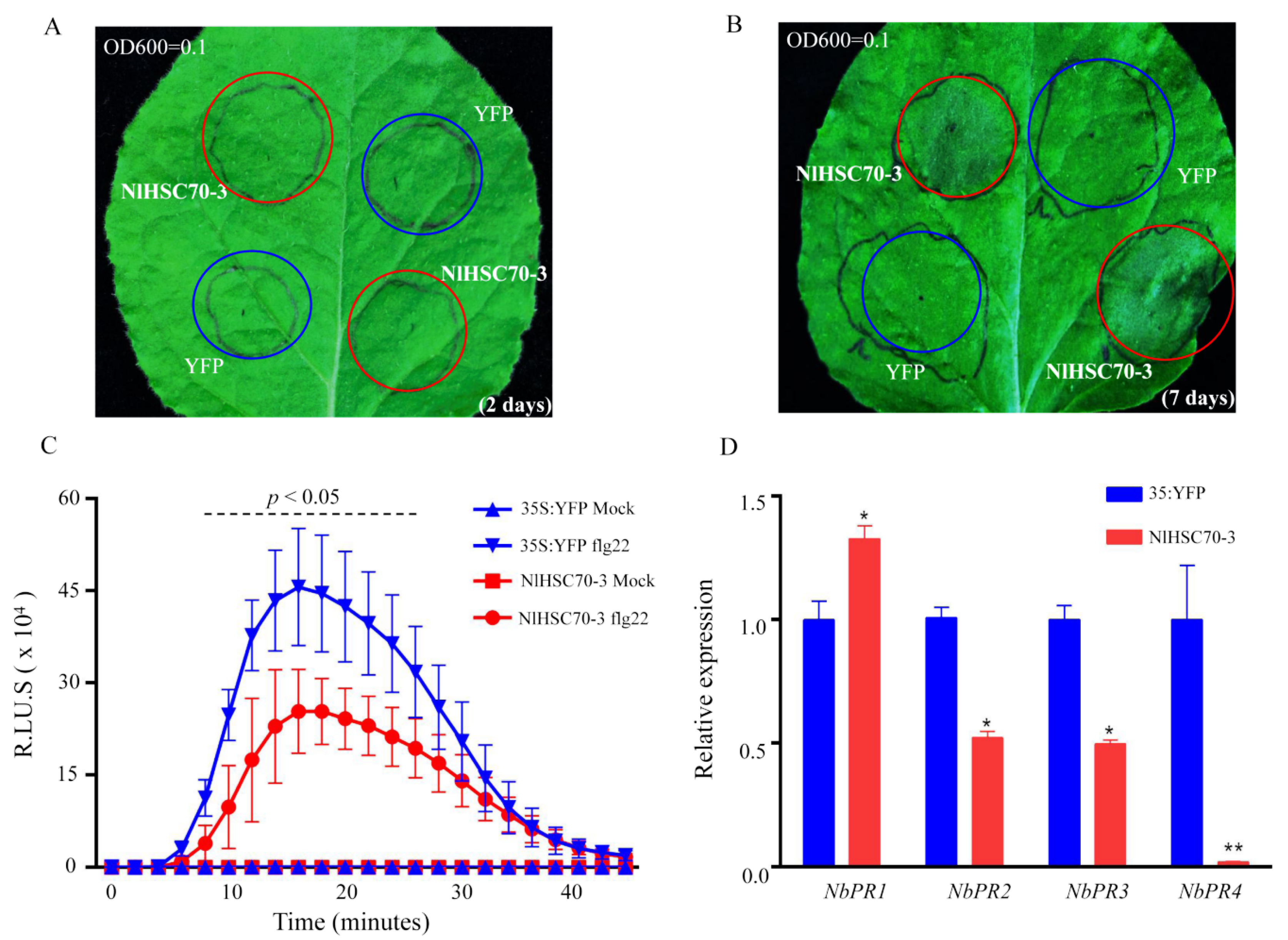 Insects 13 00299 g005 550